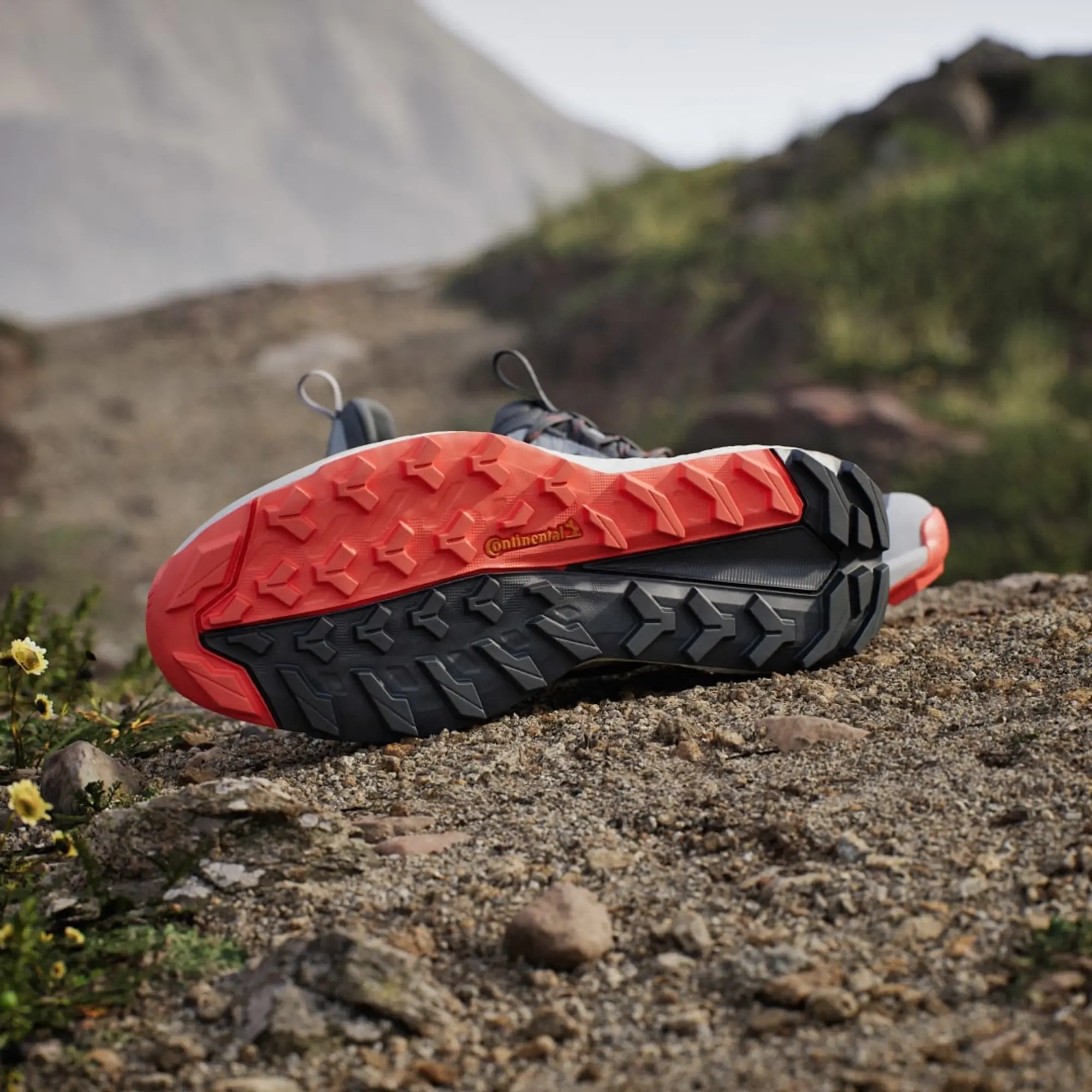 adidas Terrex Free Hiker 2.0 Low Gore-Tex Hiking Shoes