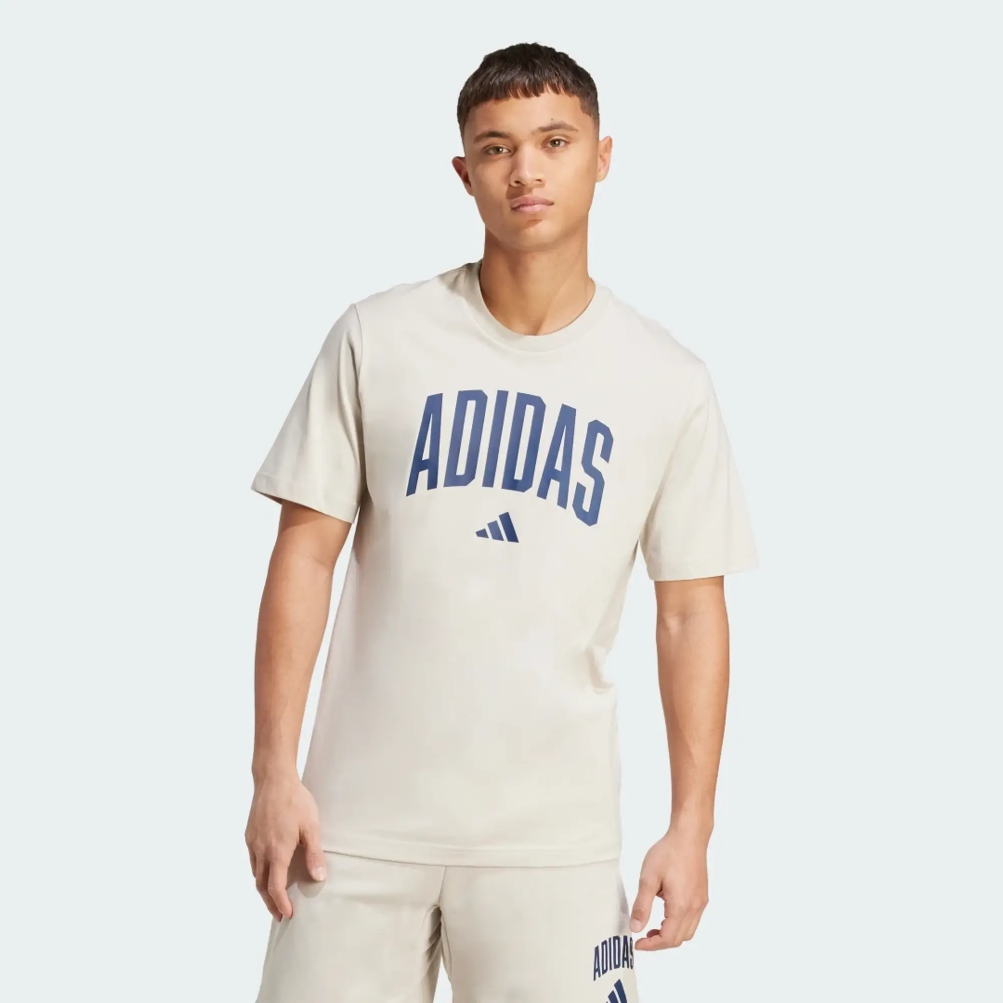 adidas Collegiate Lineage Graphic T-Shirt