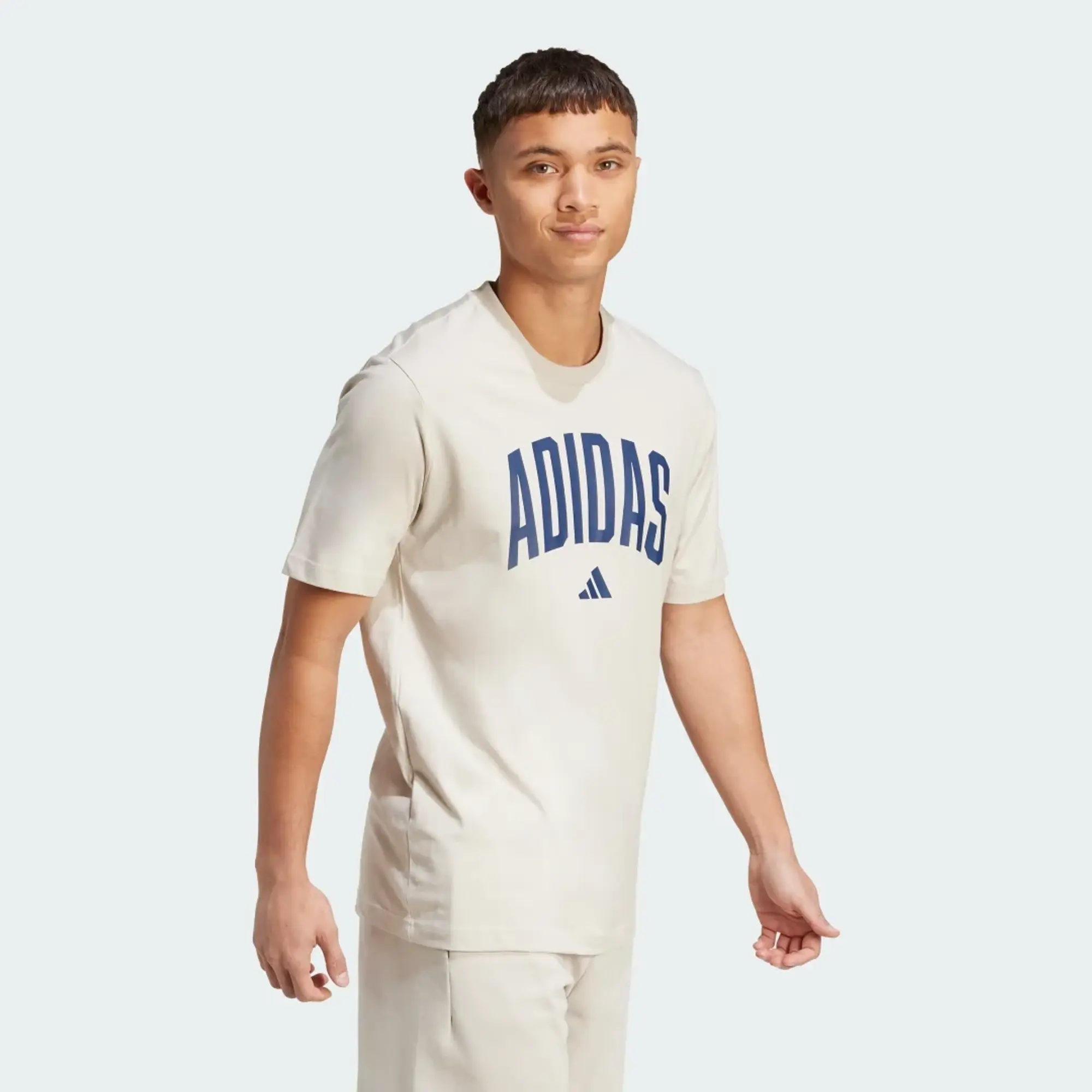 adidas Collegiate Lineage Graphic T-Shirt