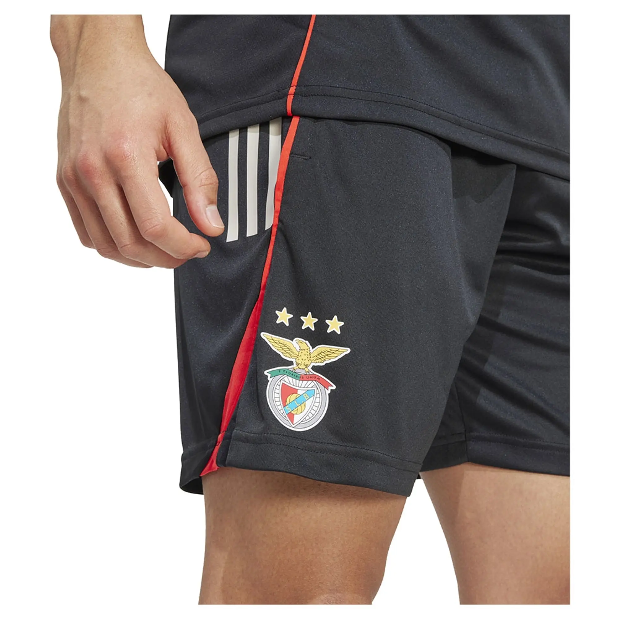 Adidas Benfica Tiro 25/26 Competition Training Shorts