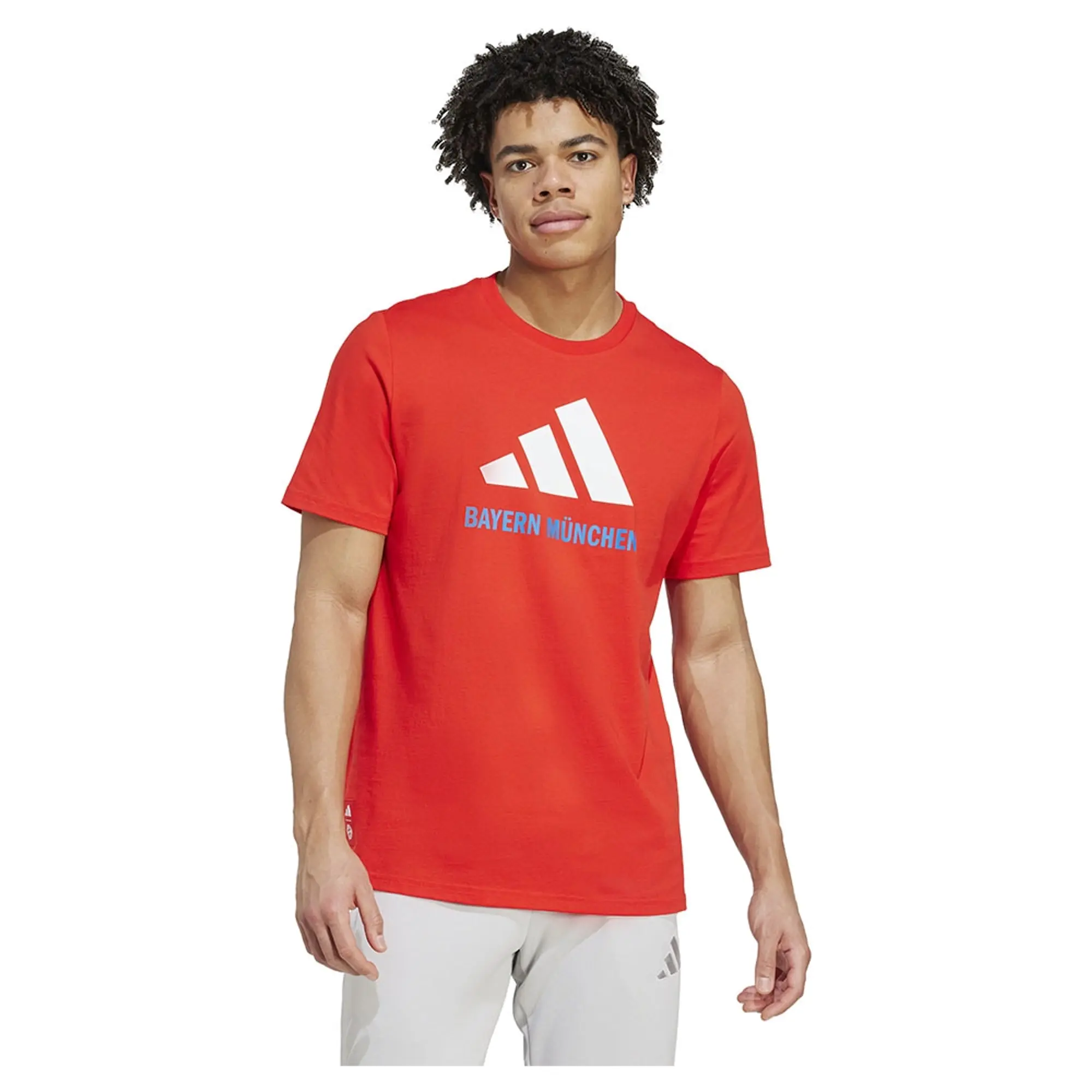Adidas Fc Bayern Seasonal Graphic Short Sleeve T-shirt