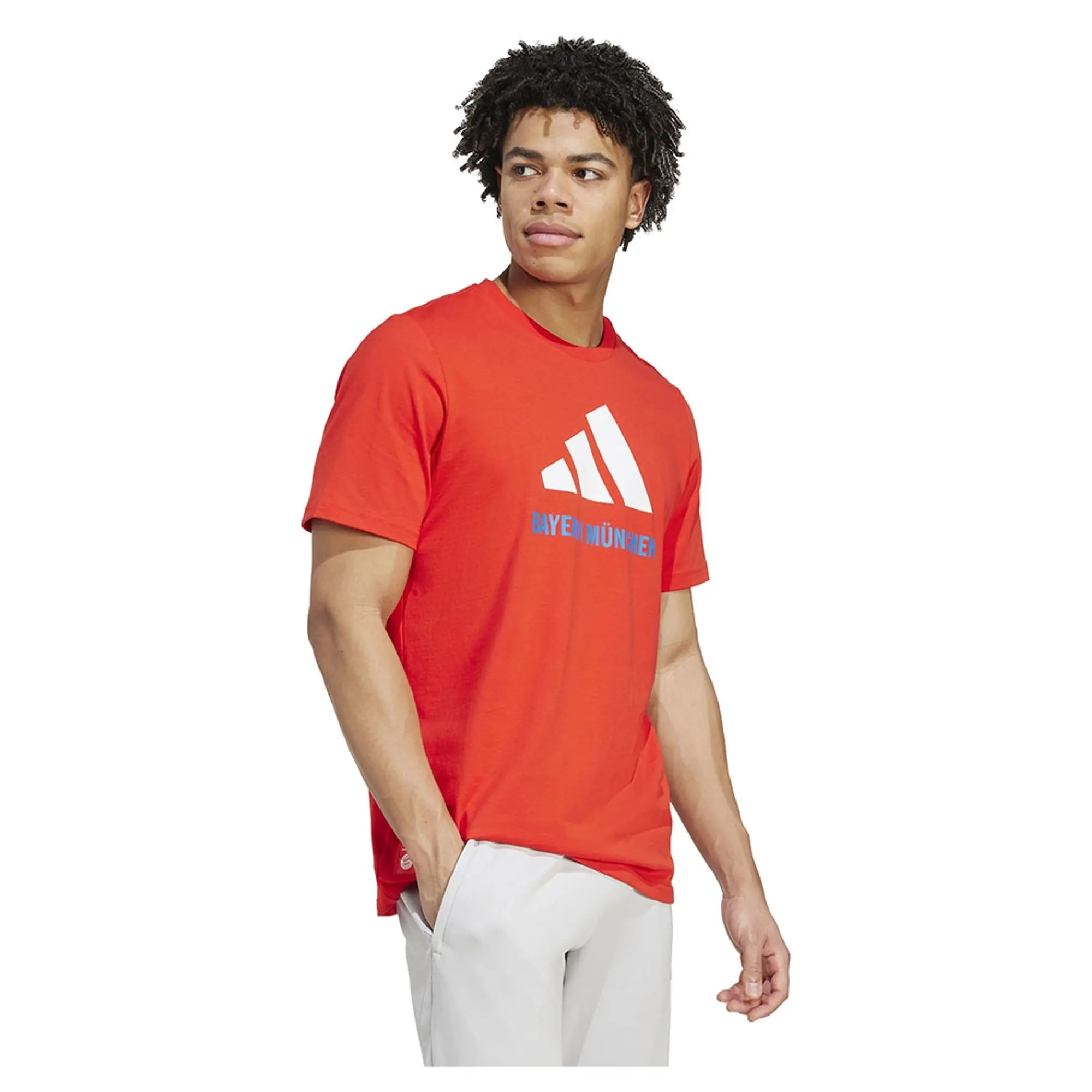 Adidas Fc Bayern Seasonal Graphic Short Sleeve T-shirt