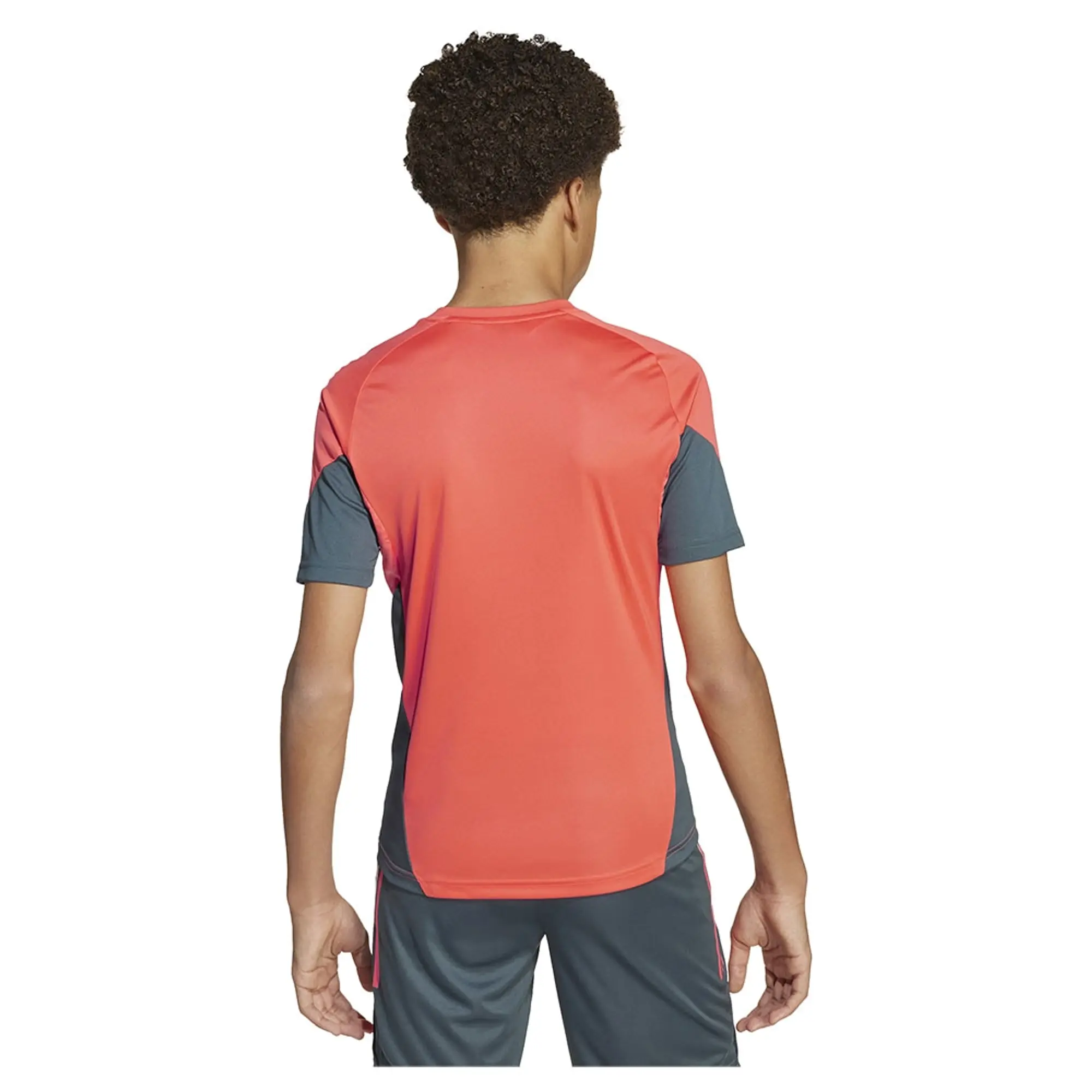 Adidas Fc Bayern Tiro 25/26 Competition Training Junior Short Sleeve T-shirt