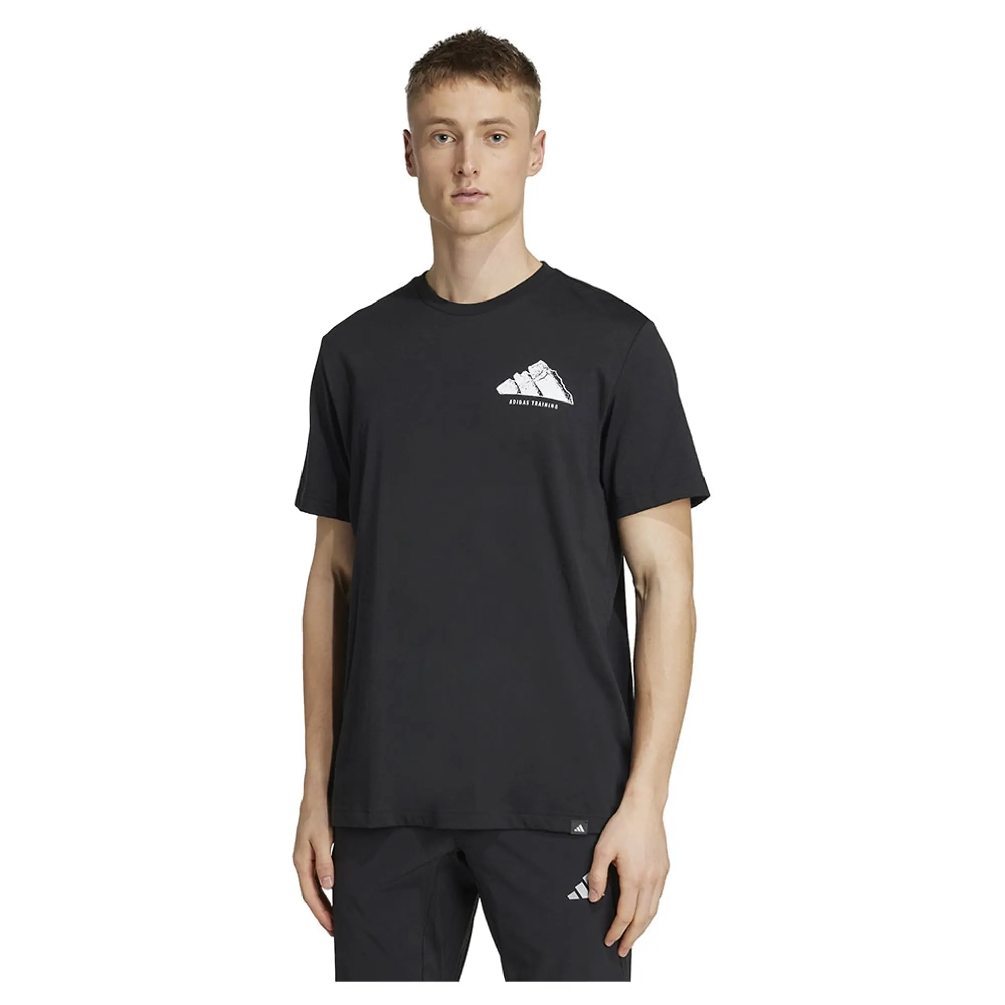 Adidas Climacool Vintage Training Graphic Short Sleeve T-shirt