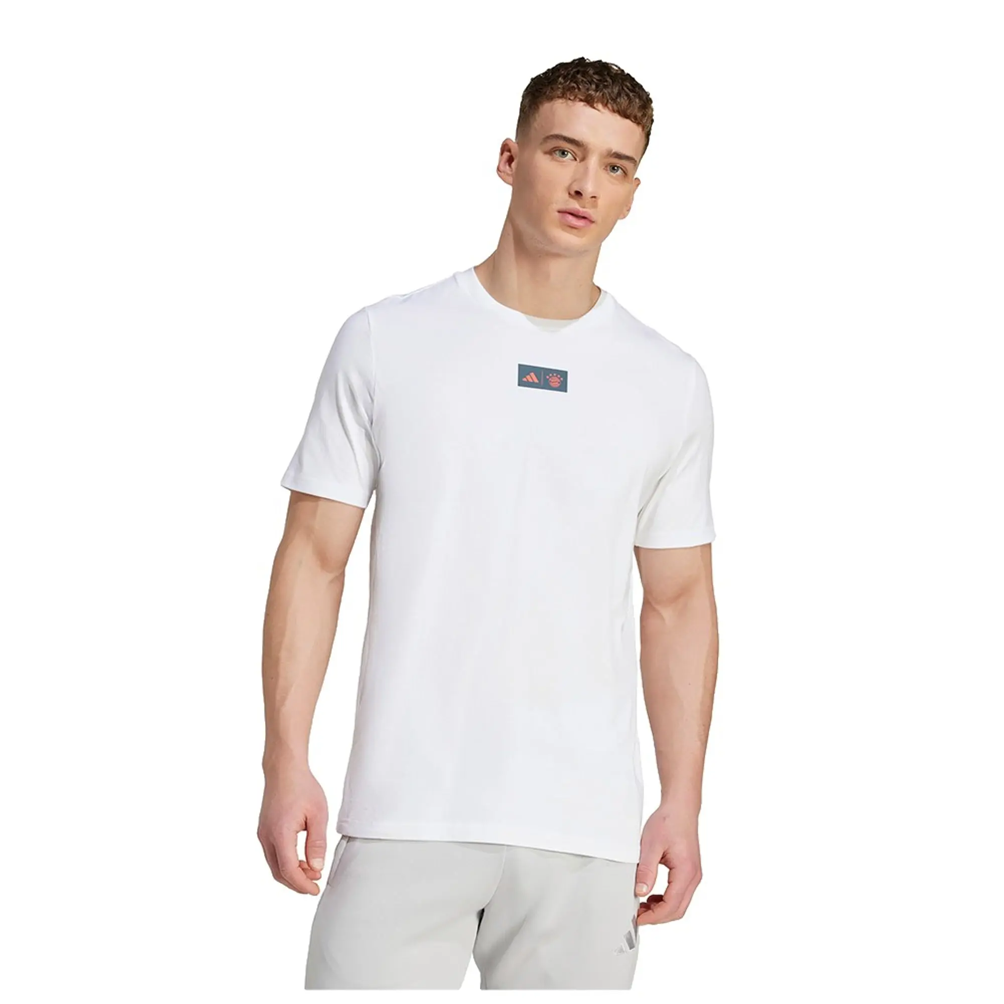 Adidas Fc Bayern Seasonal Graphic Short Sleeve T-shirt