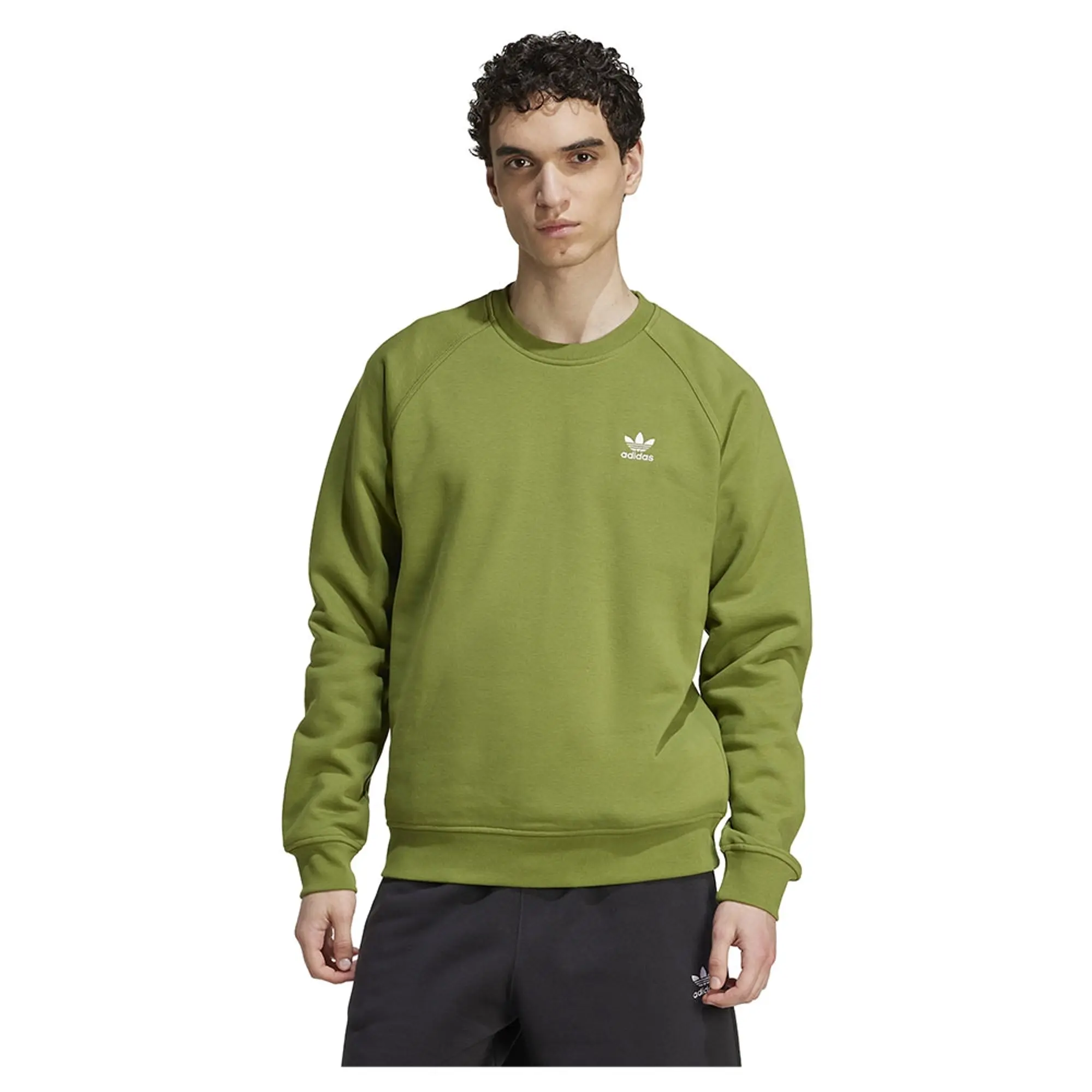 Adidas Originals Trefoil Essentials Crew Sweatshirt