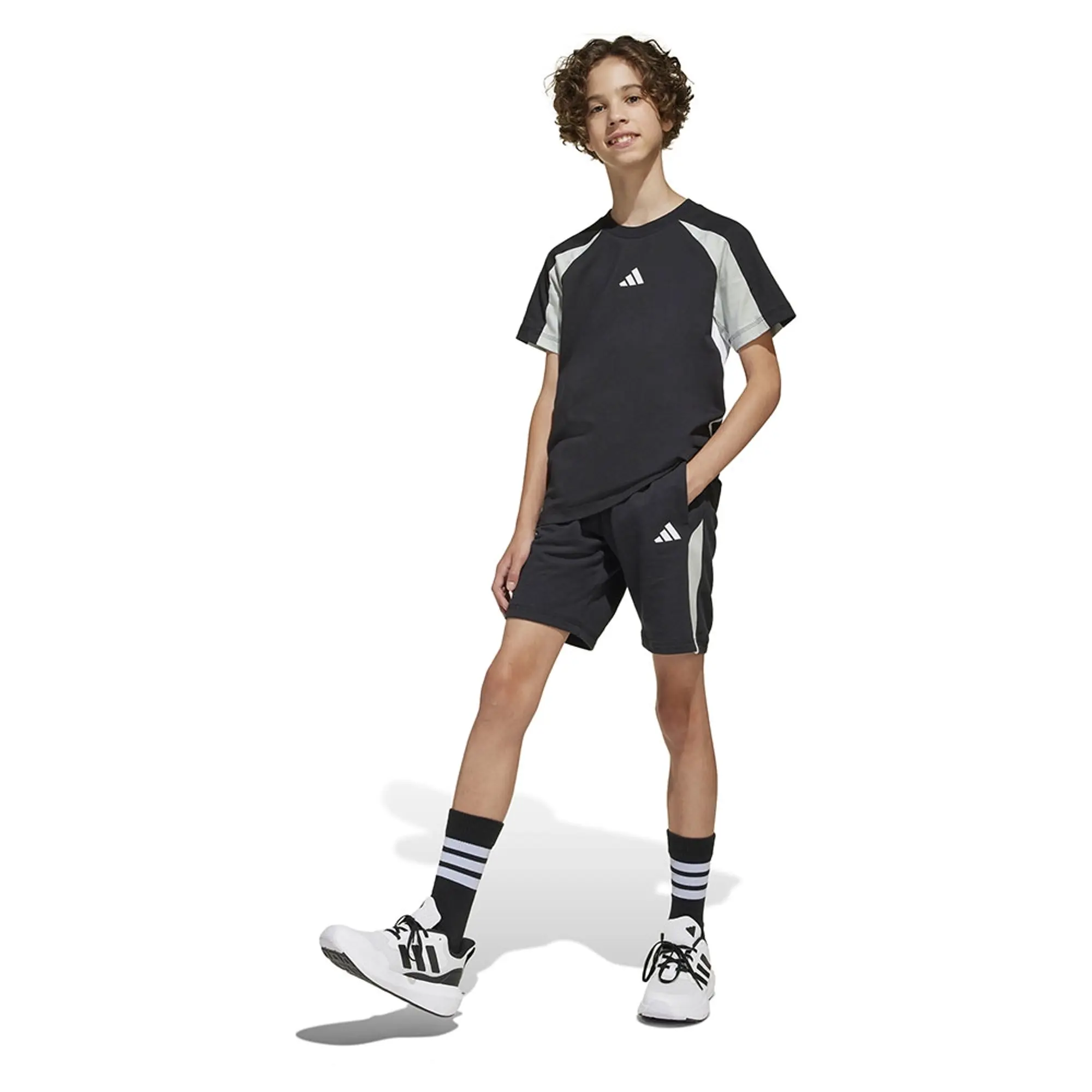 Adidas Seasonal Essentials Colorblock Sweat Shorts