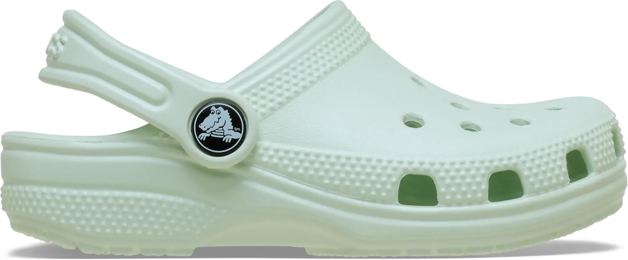 Crocs | Kids | Toddler Classic | Clogs | Mint Tint | C4