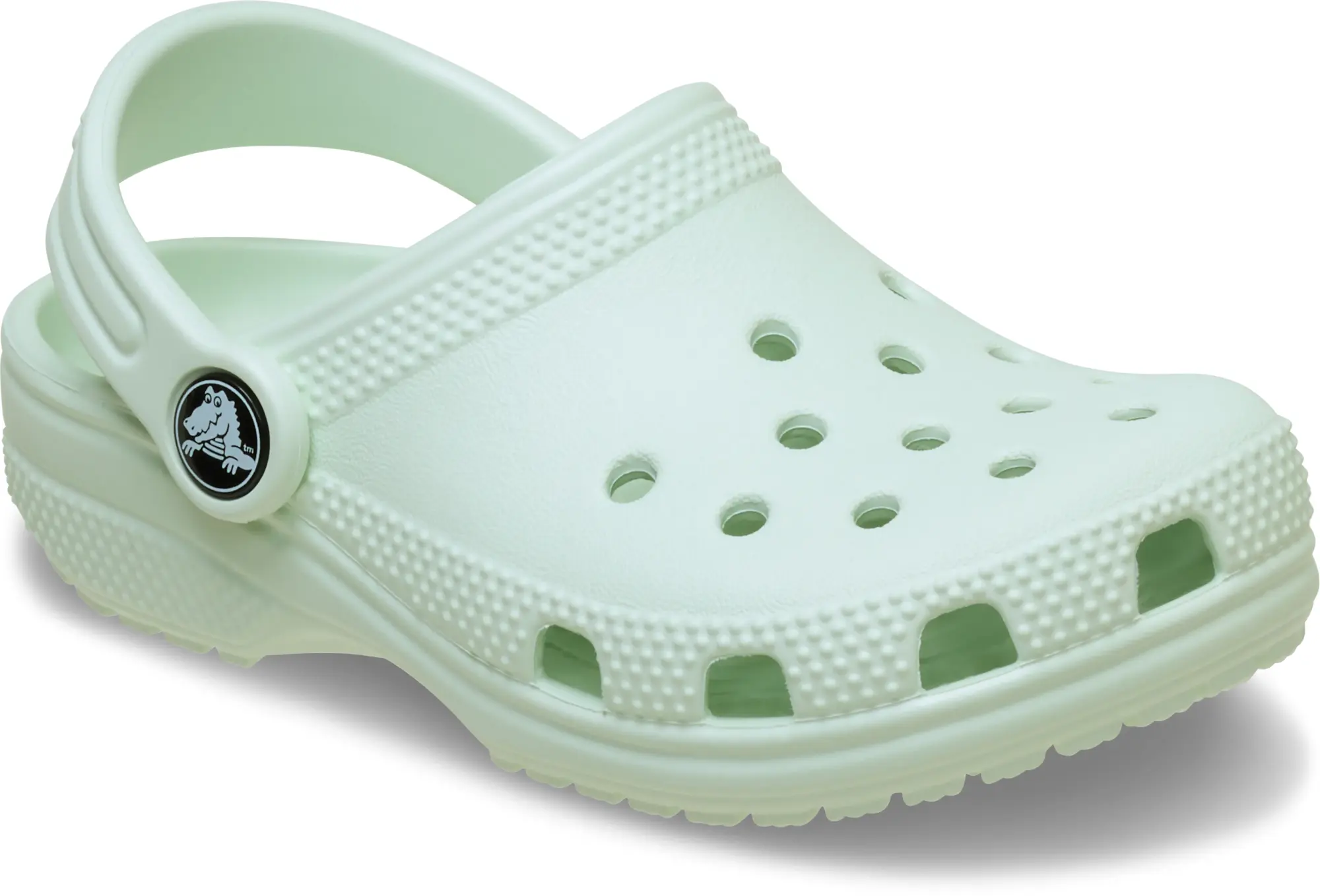 Crocs | Kids | Toddler Classic | Clogs | Mint Tint | C4