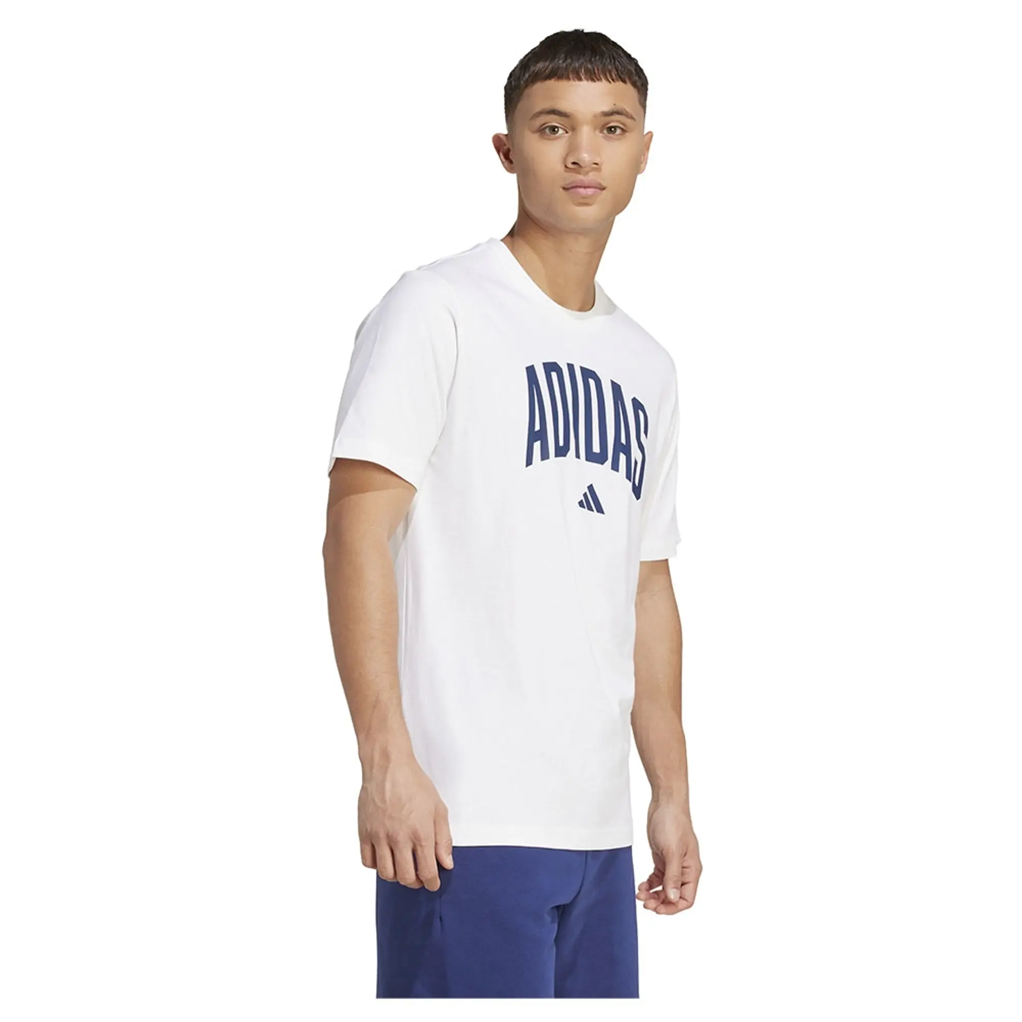 Adidas Collegiate Lineage Graphic Short Sleeve T-shirt