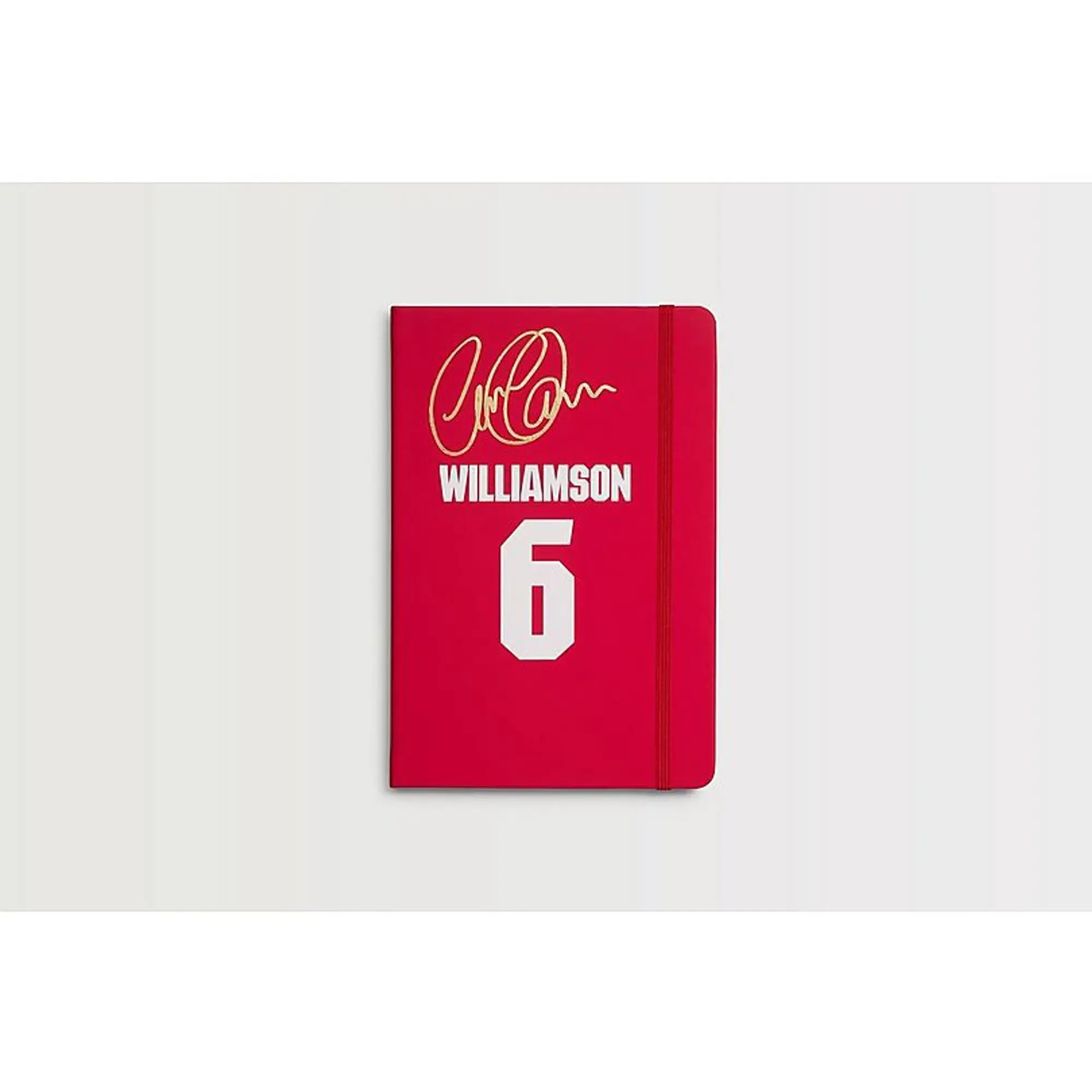 Arsenal Williamson Notebook, Multicolor