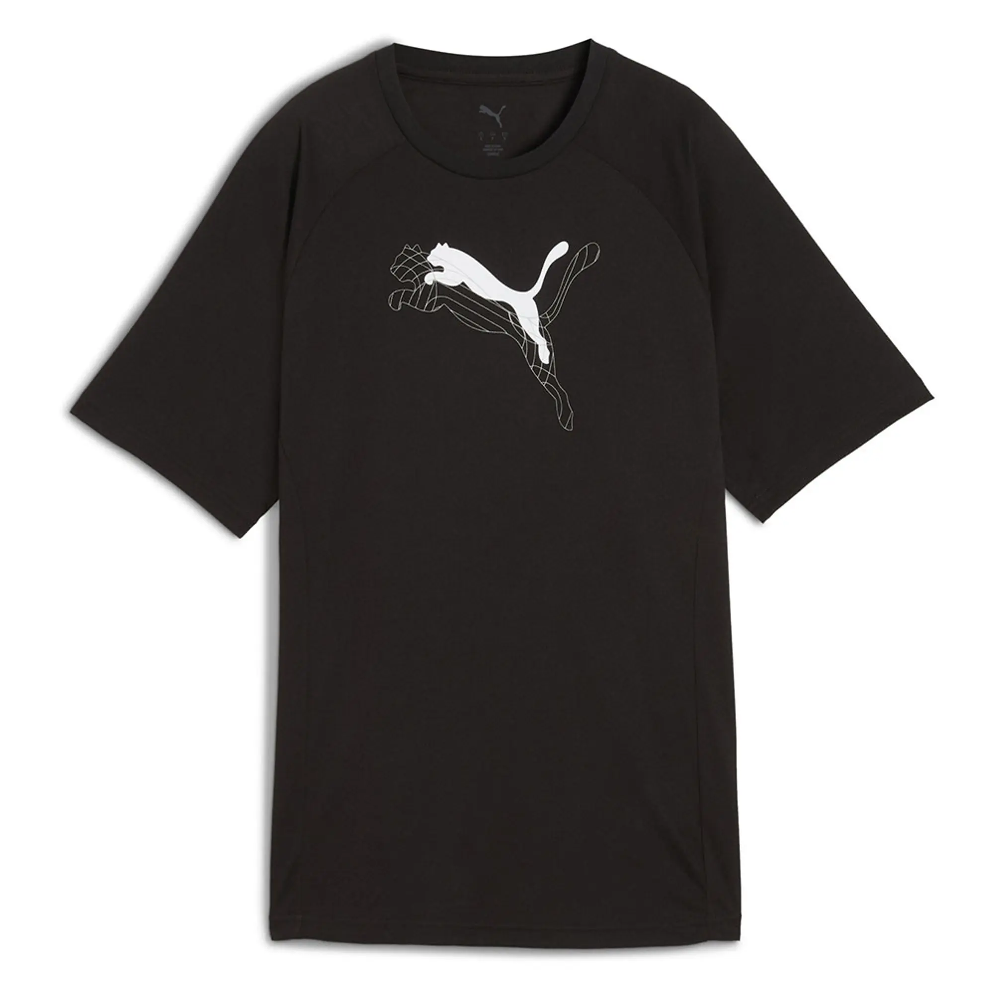 Puma Evostripe Graphic Relaxed Fit Short Sleeve T-shirt