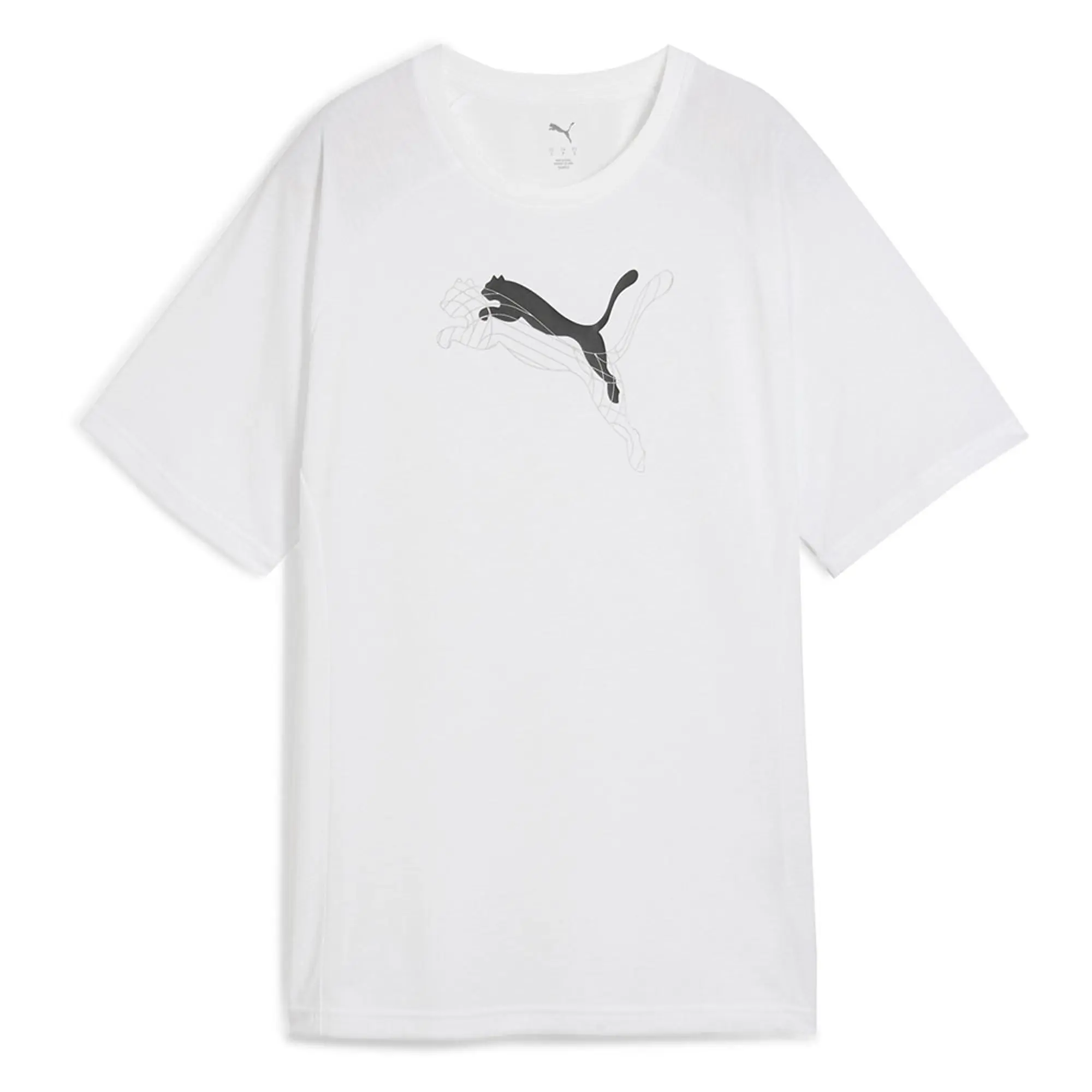 Puma Evostripe Graphic Relaxed Fit Short Sleeve T-shirt
