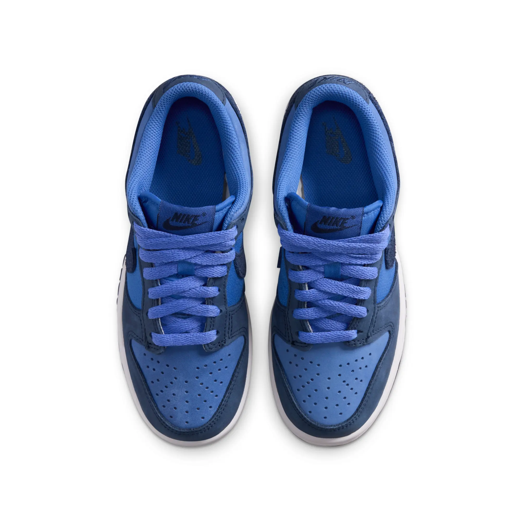 Nike Dunk Low SE Older Kids' Shoes - Blue