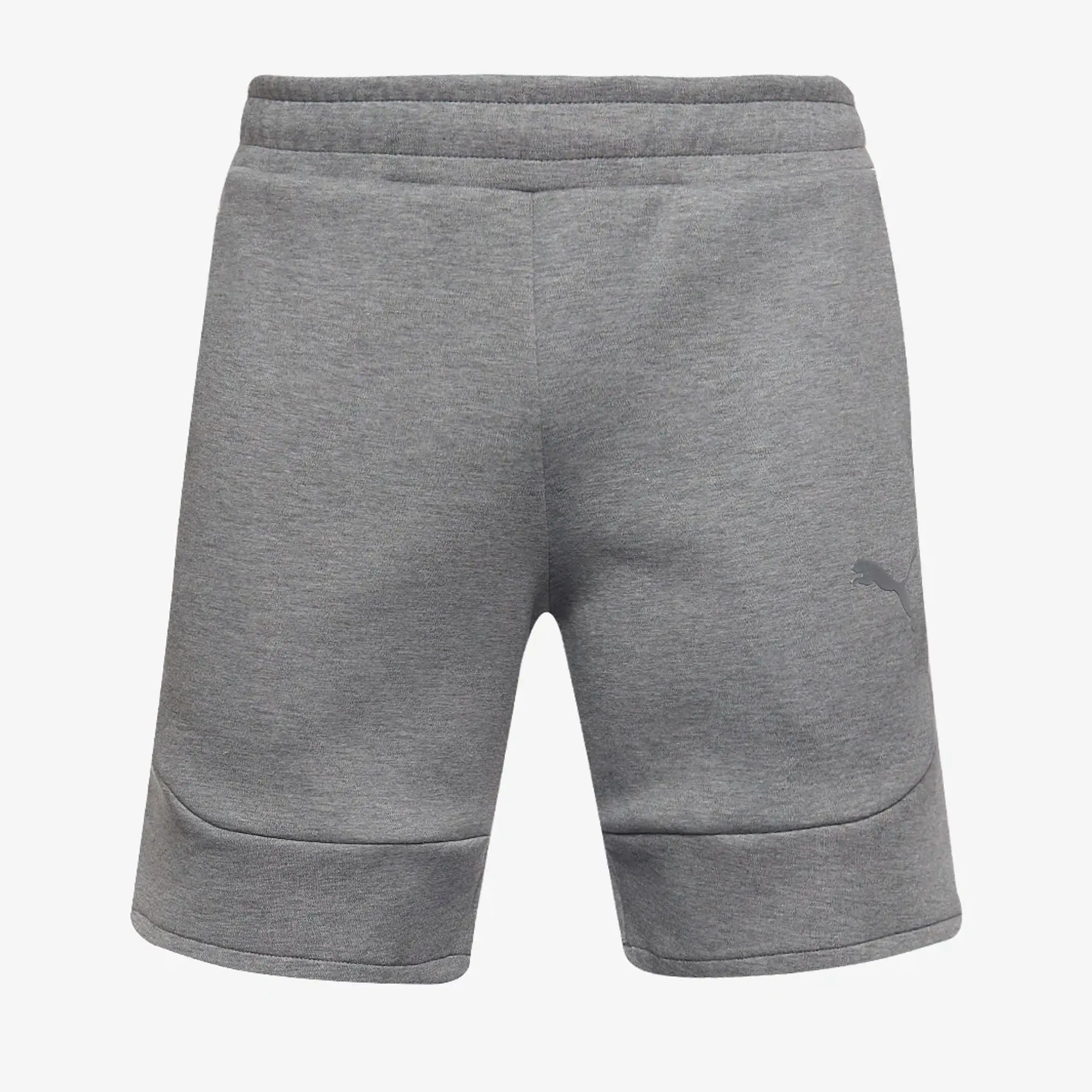 Puma teamEVOSTRIPE 25 Shorts
