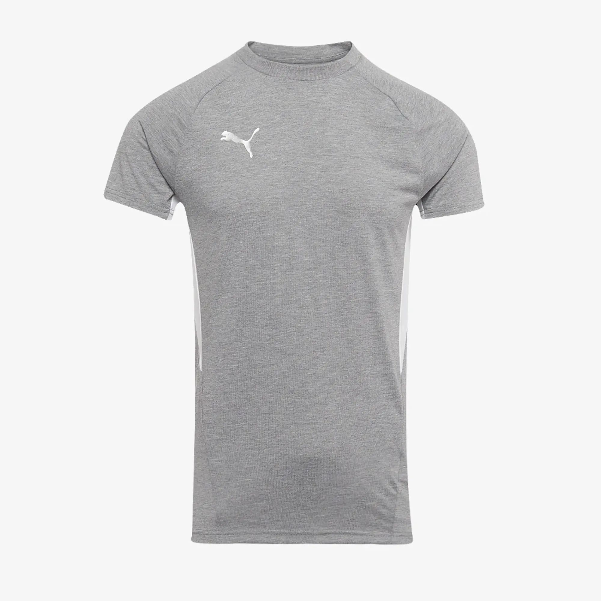 Puma teamEVOSTRIPE 25 Slim SS Tee