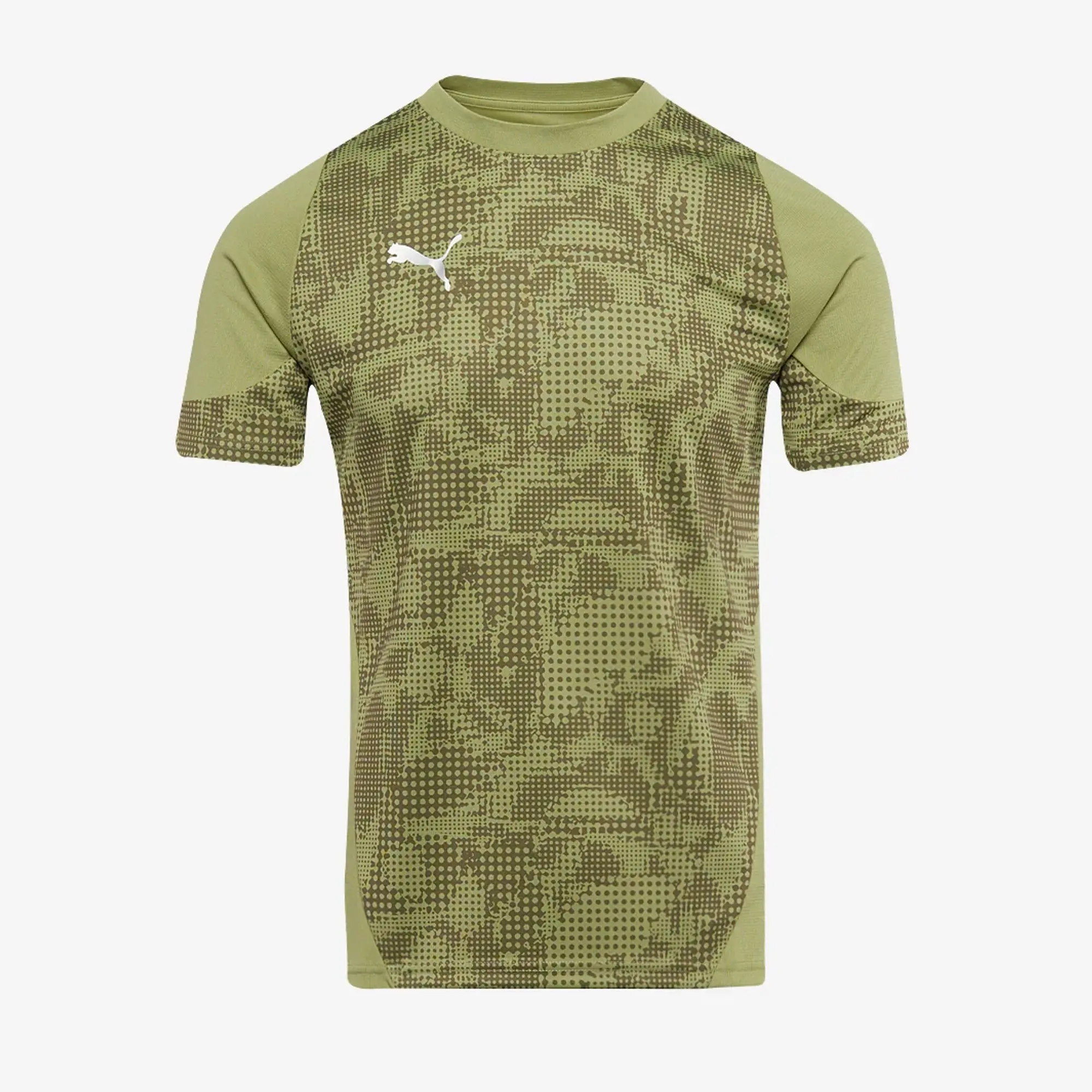 Puma teamCUP 25 Slim SS Training Shirt