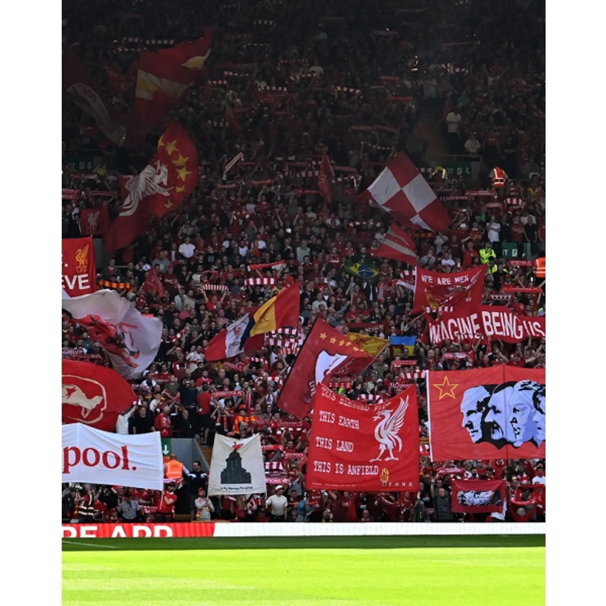 LFC All Red Light Membership Voucher