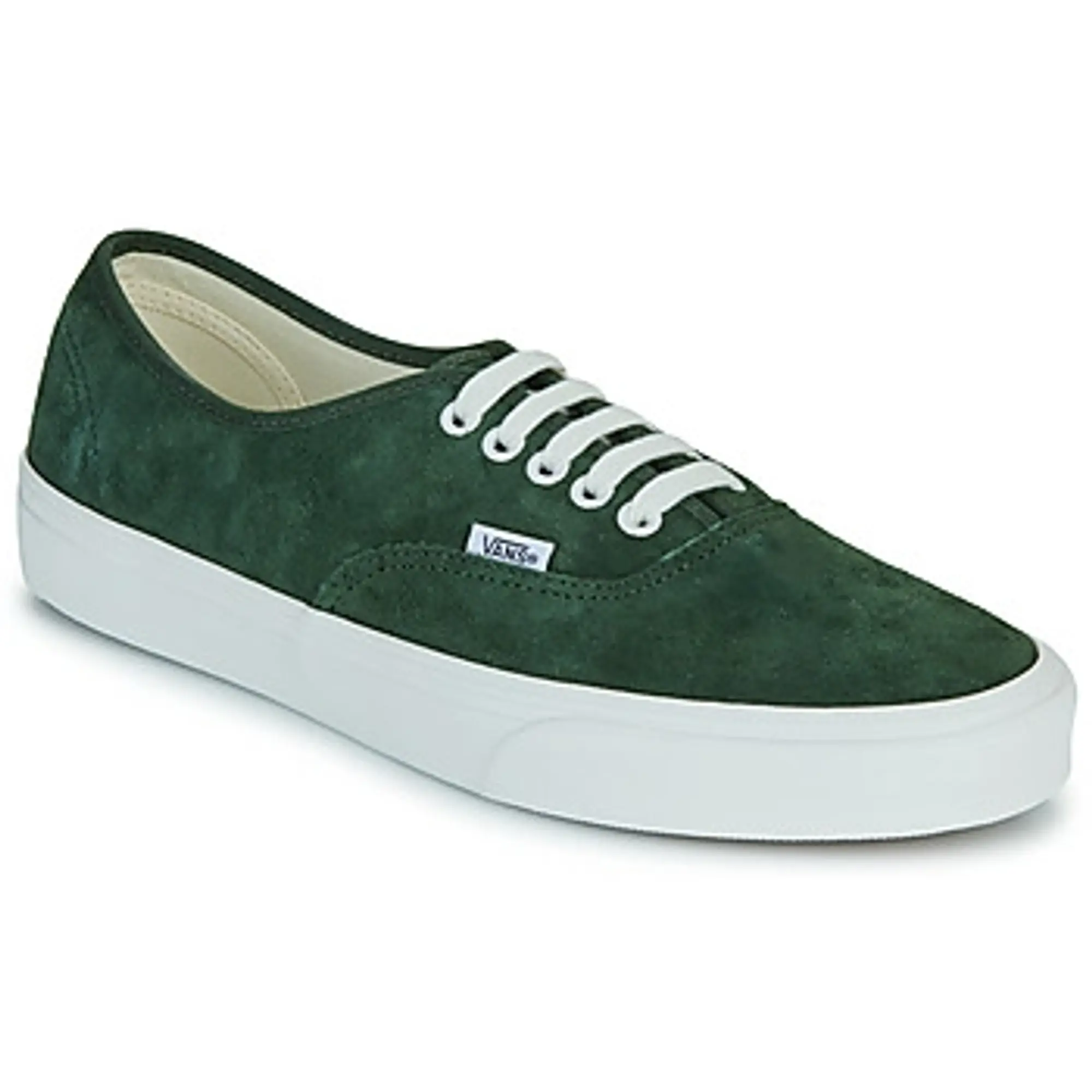 Vans  Authentic  men's Shoes (Trainers) in Green