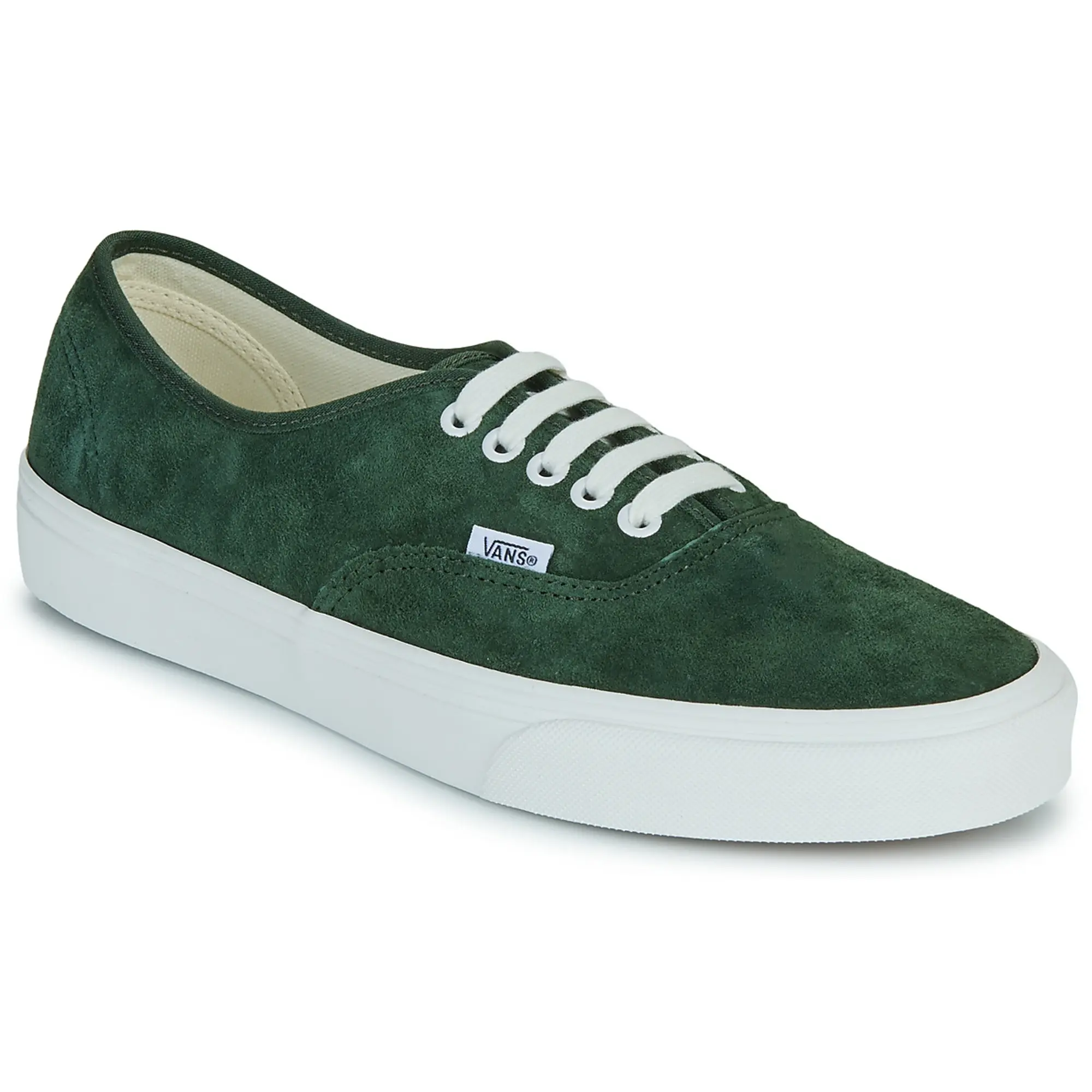 Vans  Authentic  men's Shoes (Trainers) in Green