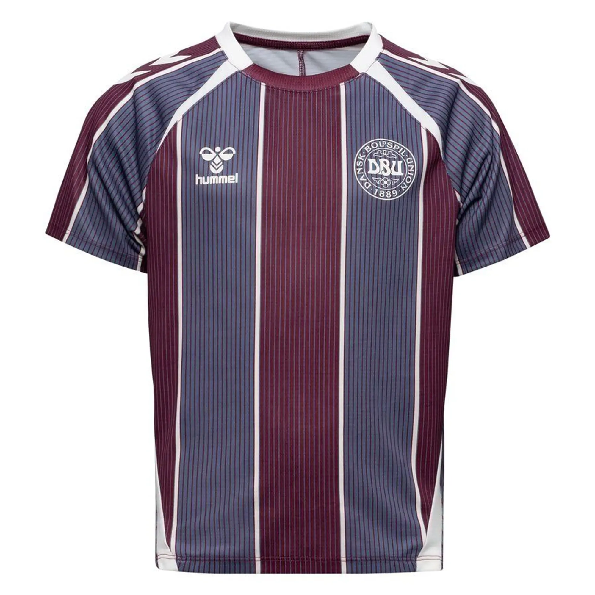Denmark Training T-Shirt Pre Match Women's Euro 2025 - Multicolor Kids - ['Multicolor']