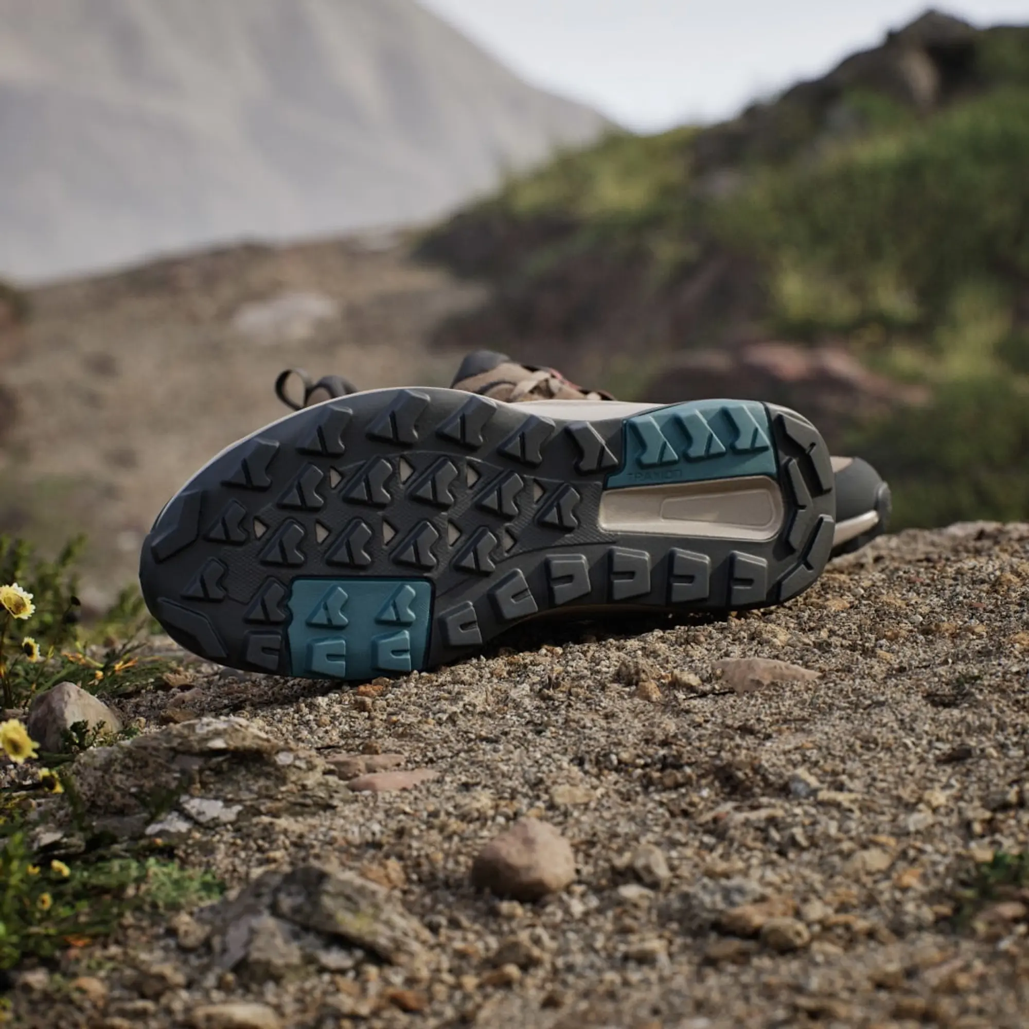adidas Terrex Anylander Hiking Shoes