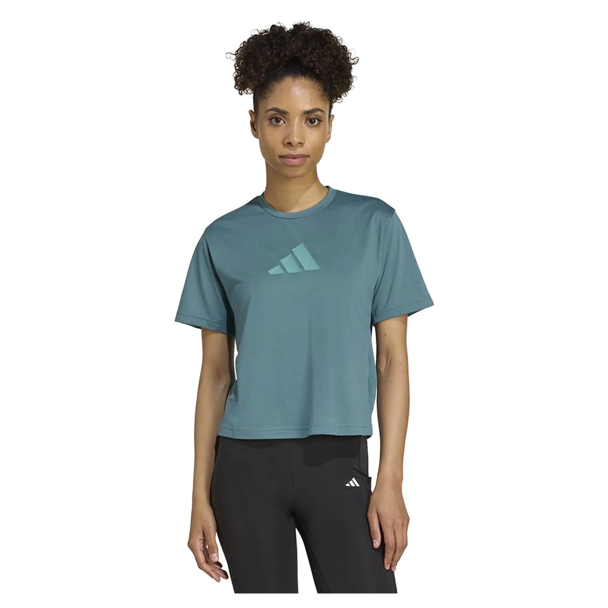Adidas Train Essentials Big Logo Performance Training Short Sleeve T-shirt