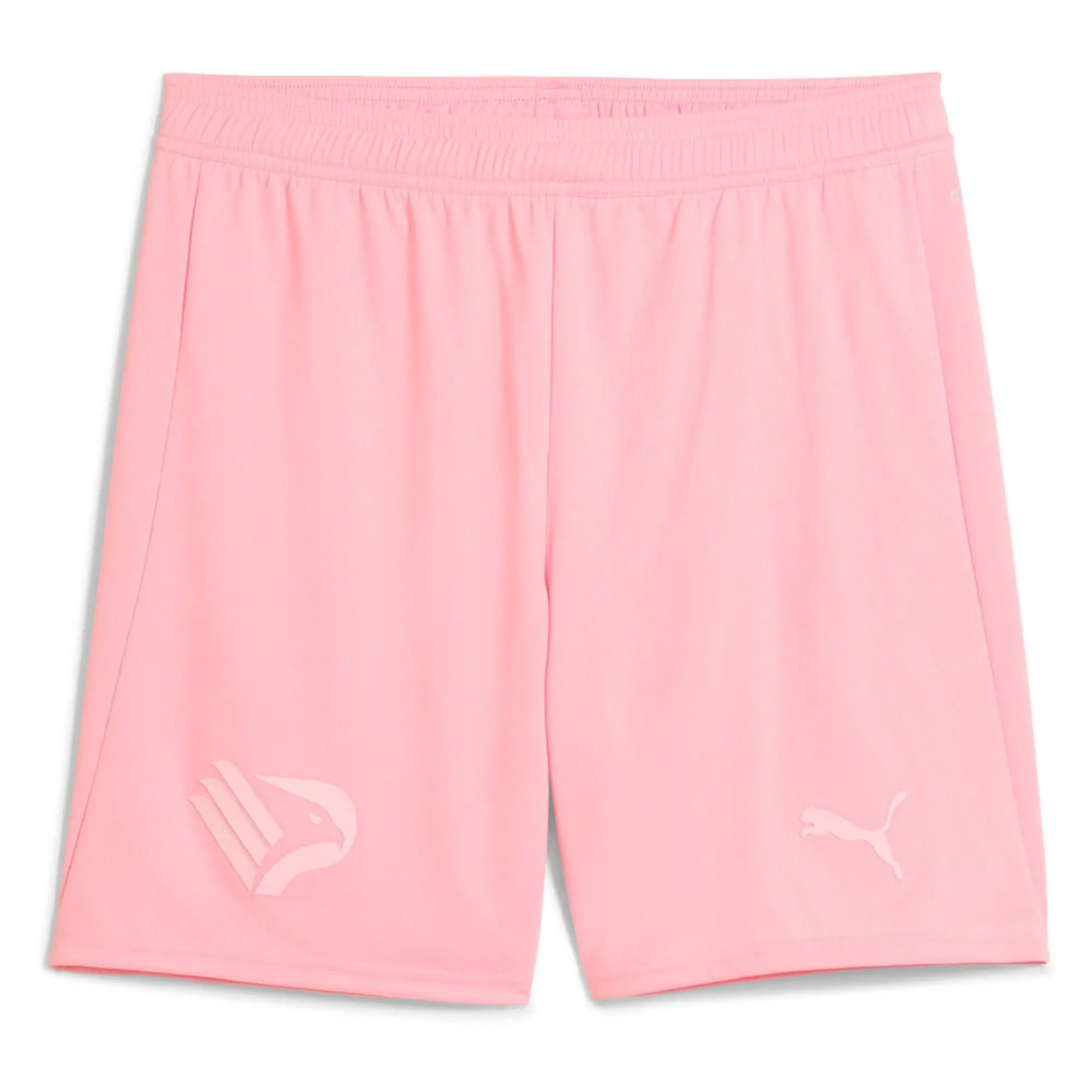 Puma Palermo Fc 24/25 Replica Shorts