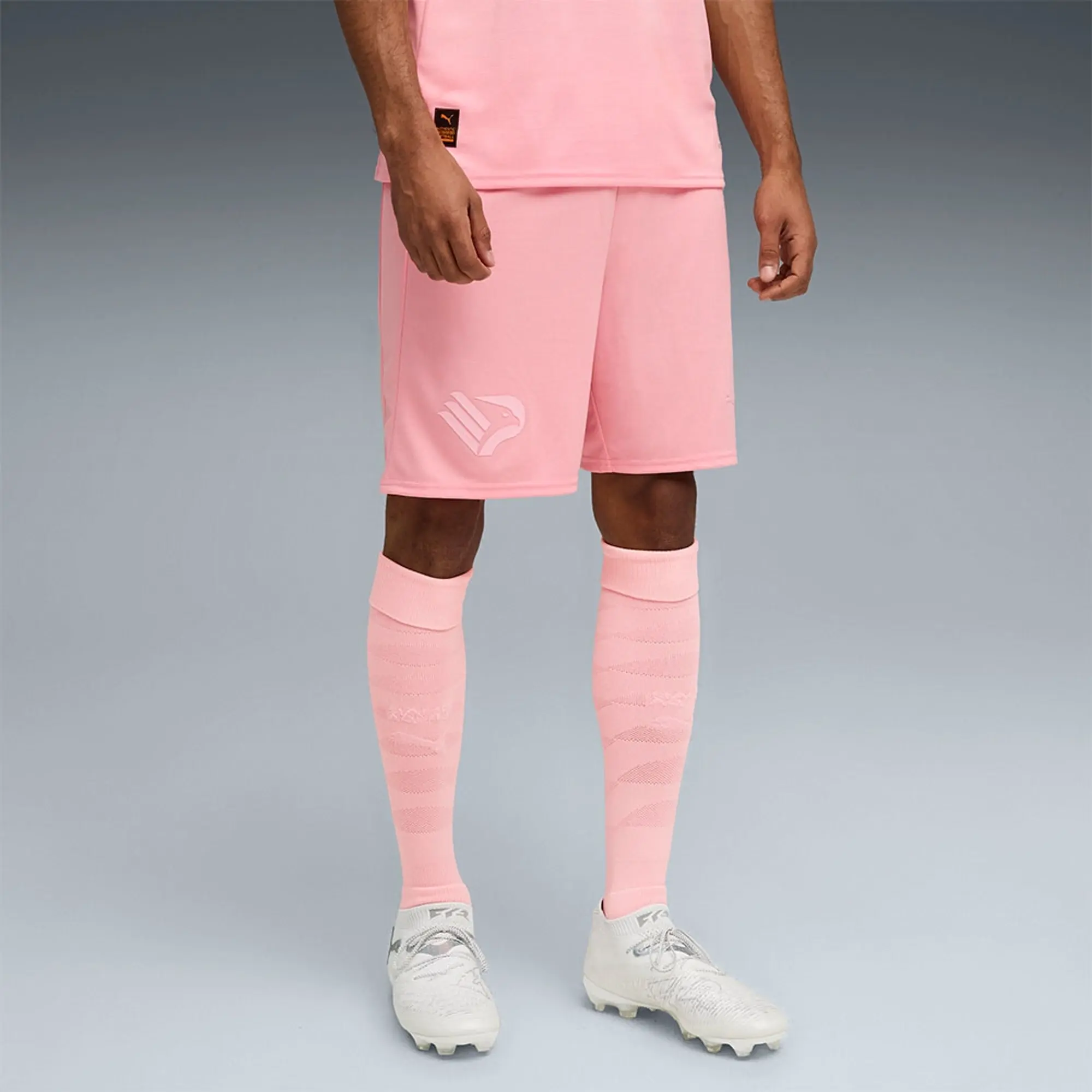 Puma Palermo Fc 24/25 Replica Shorts