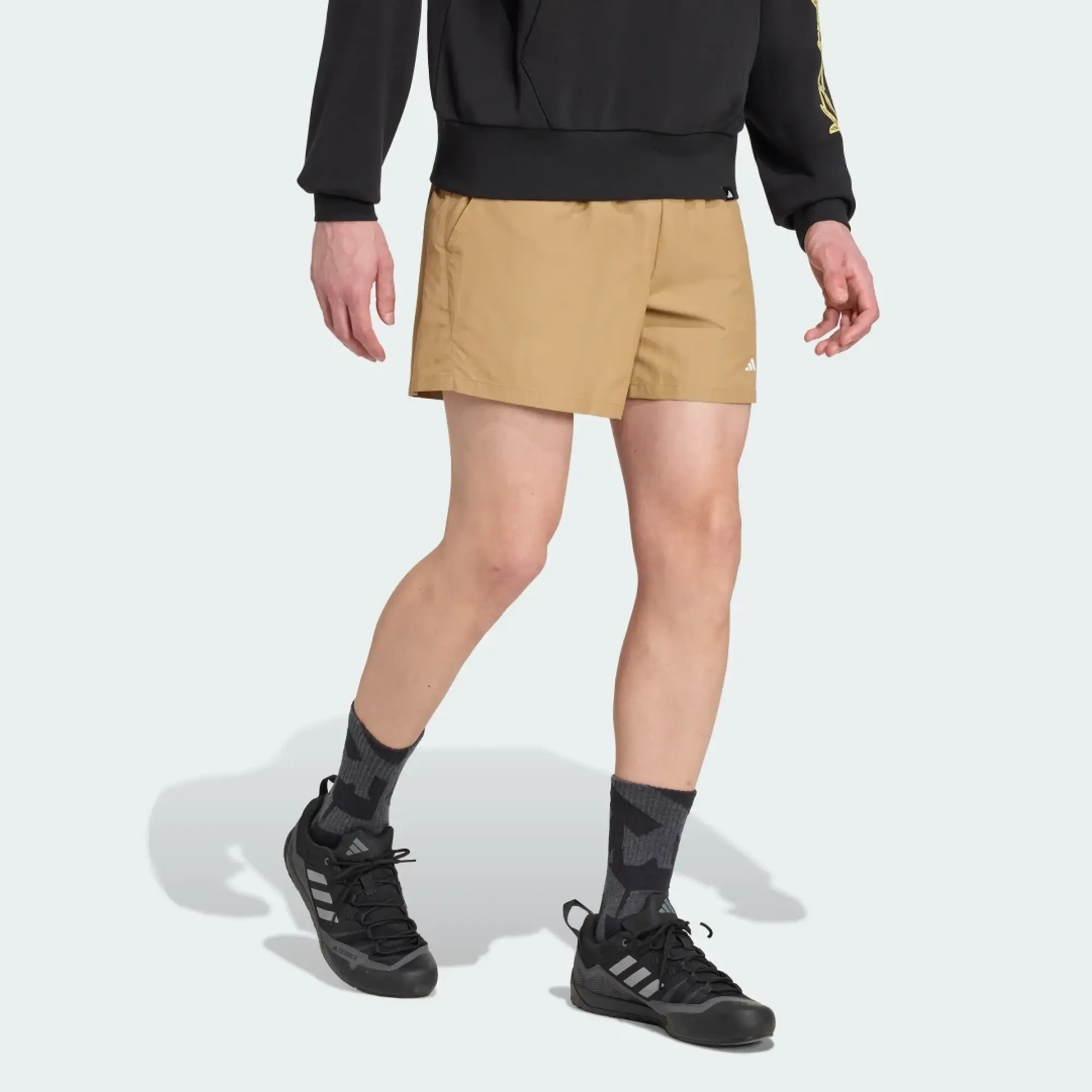adidas Terrex Multi Shorts