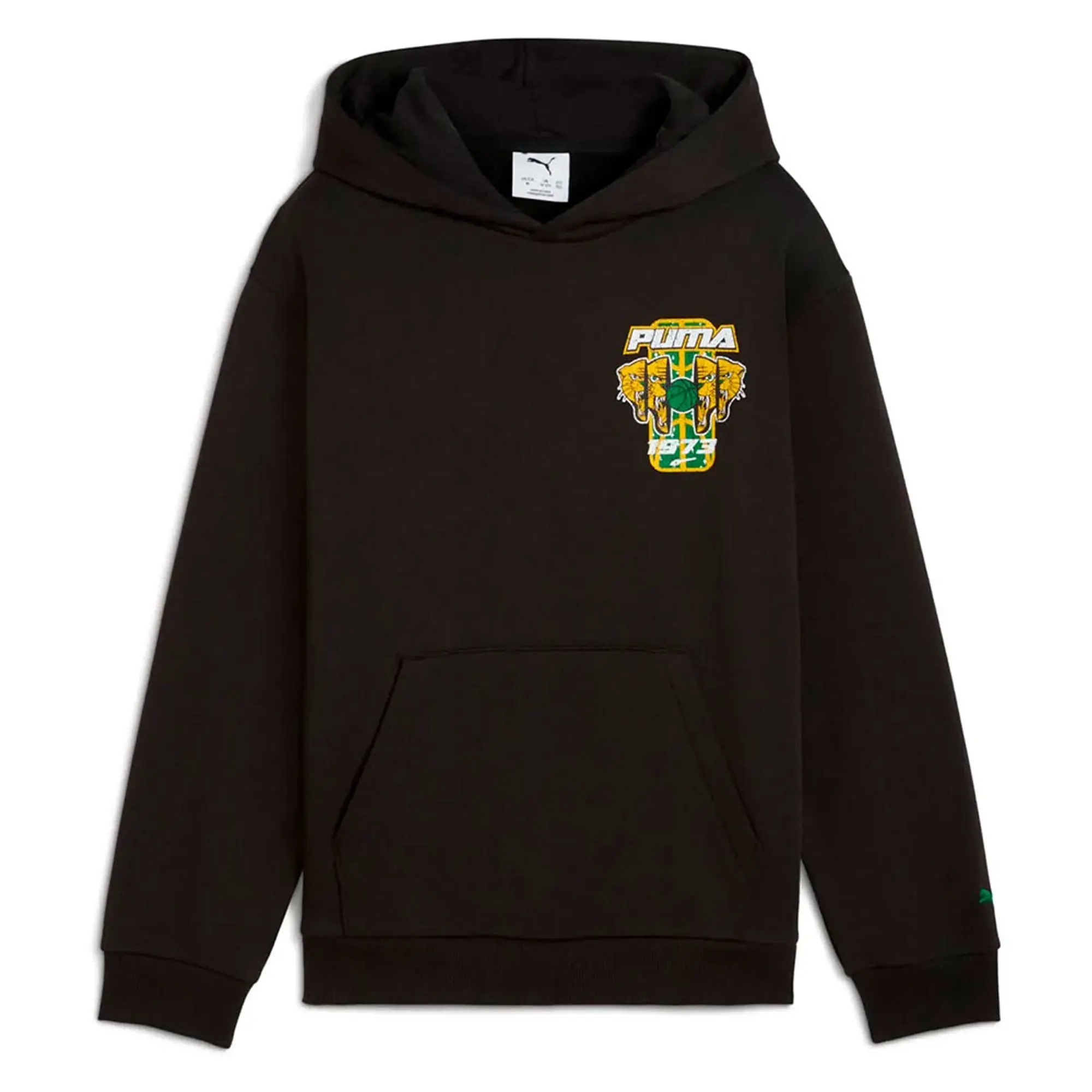 Puma Basketball Hoopstellations Hoodie
