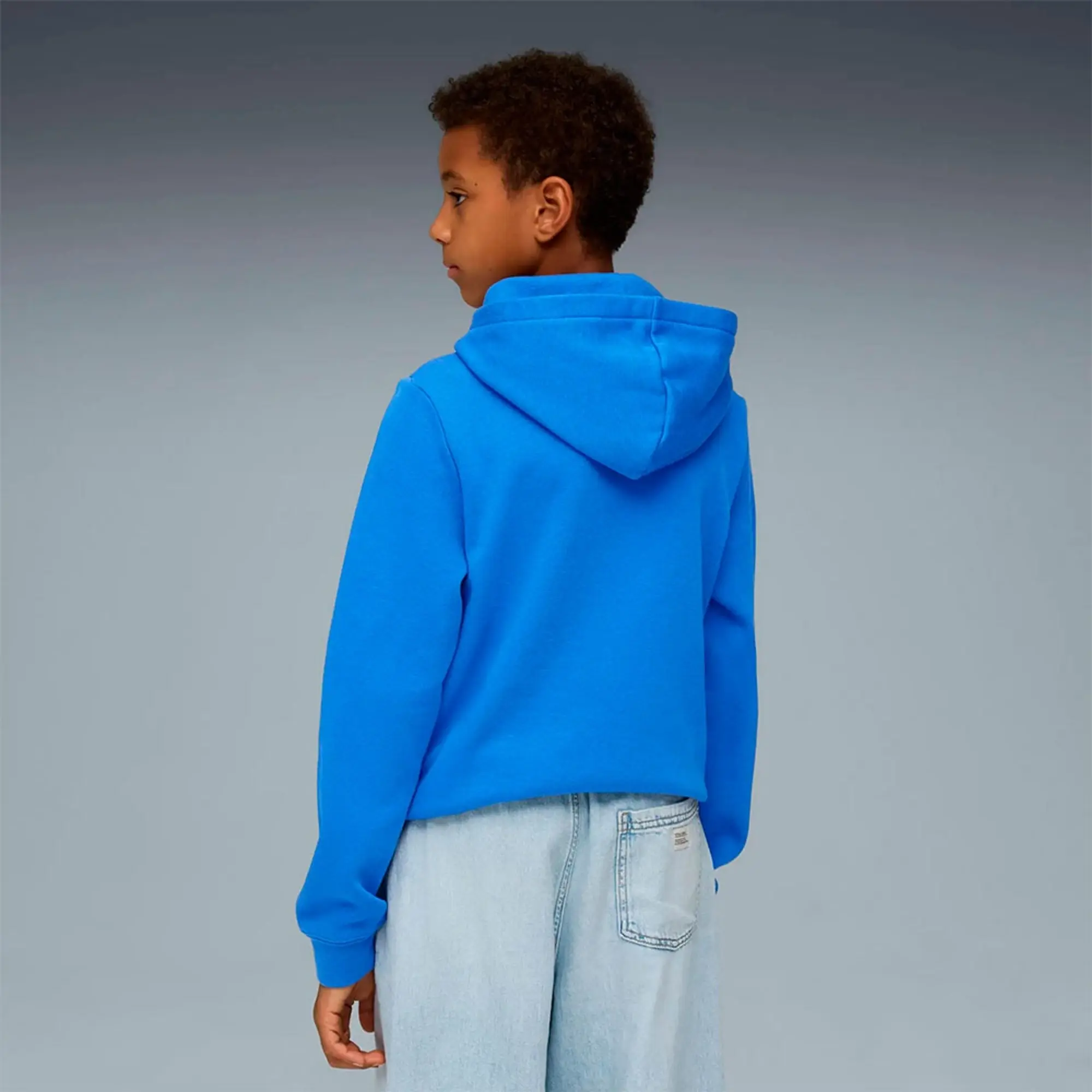 Puma Ess Nº 1 Logo Hoodie