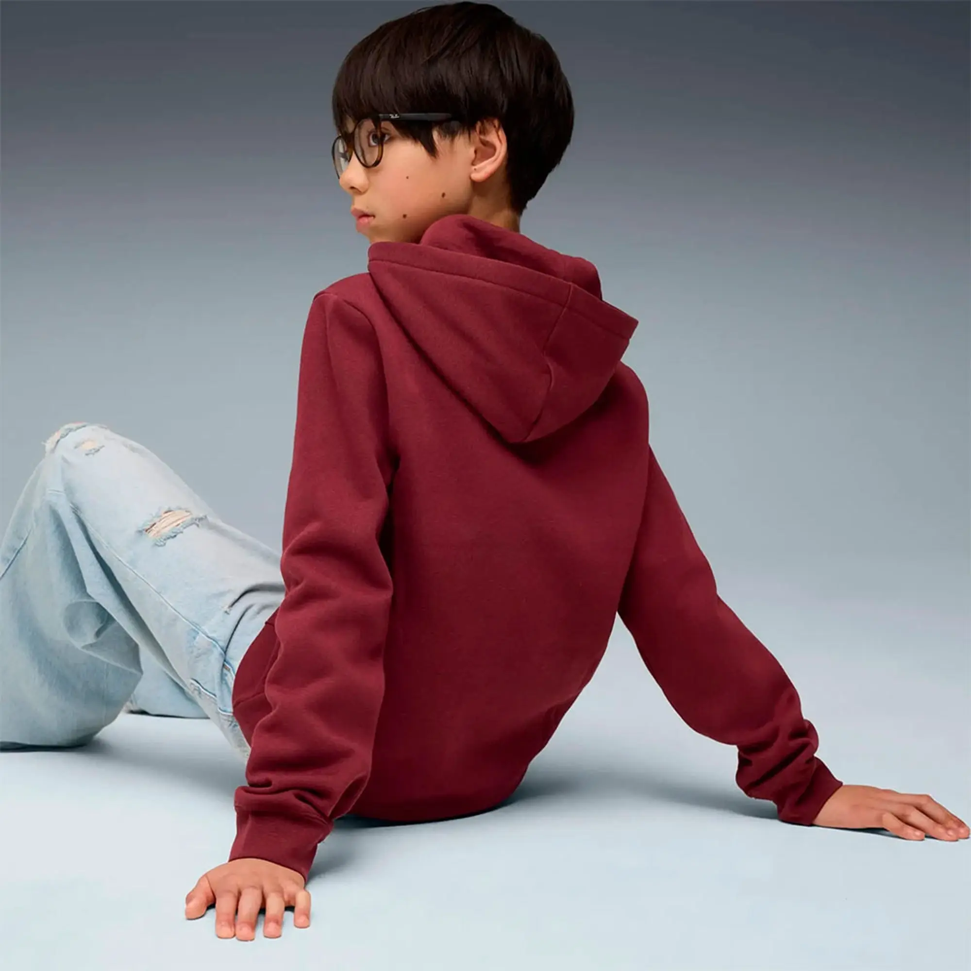 Puma Ess Nº 1 Logo Hoodie