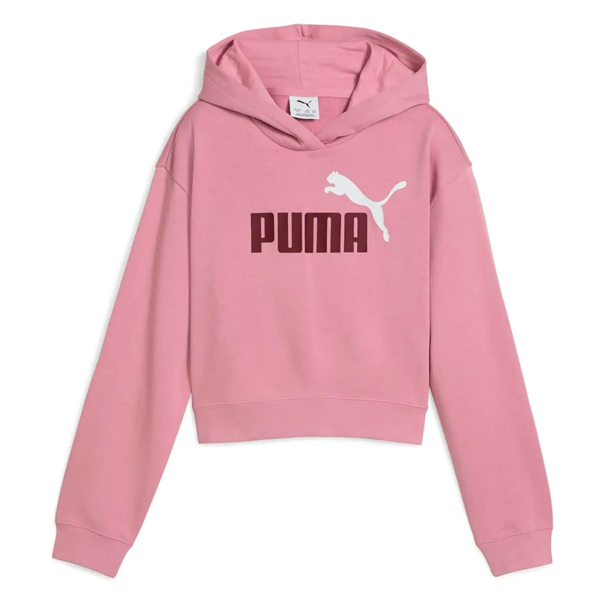 Puma Ess 2 Color Nº 1 Logo​ Hoodie