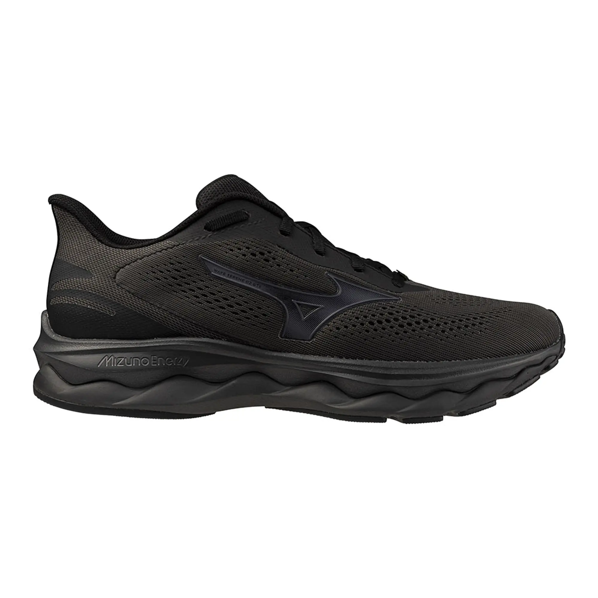 Mizuno Wave Serene 2 Gtx Running Shoes