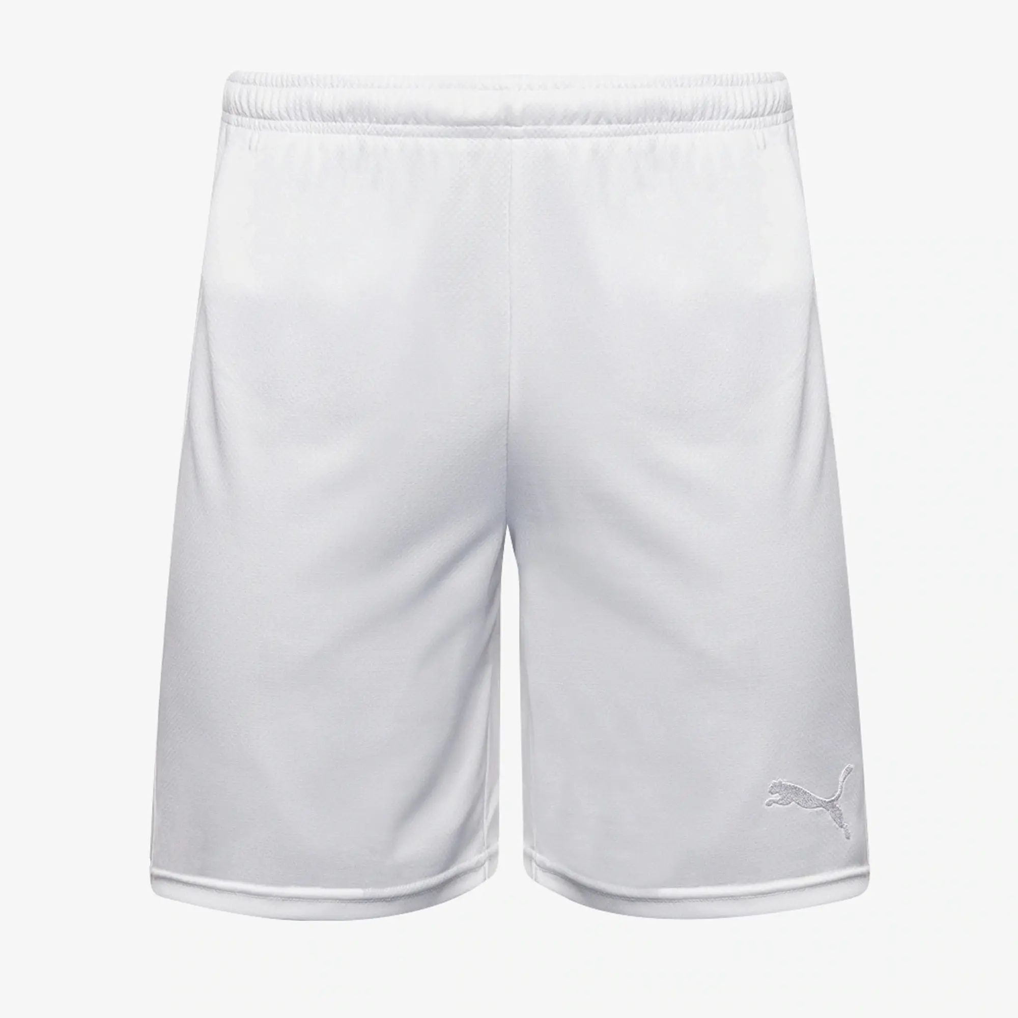 Puma fastMOVE Shorts