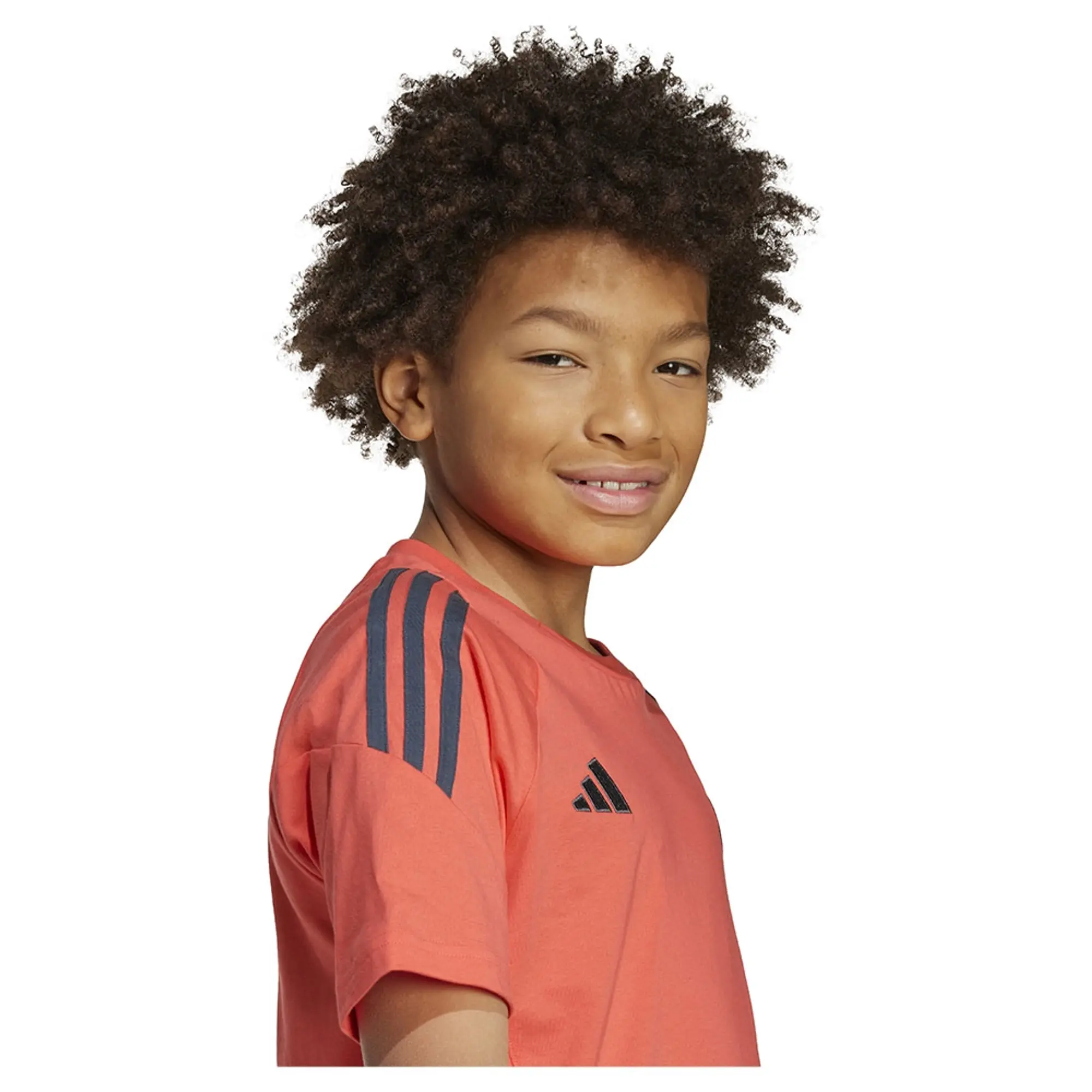 Adidas Fc Bayern Tiro 24 Sweat Short Sleeve T-shirt
