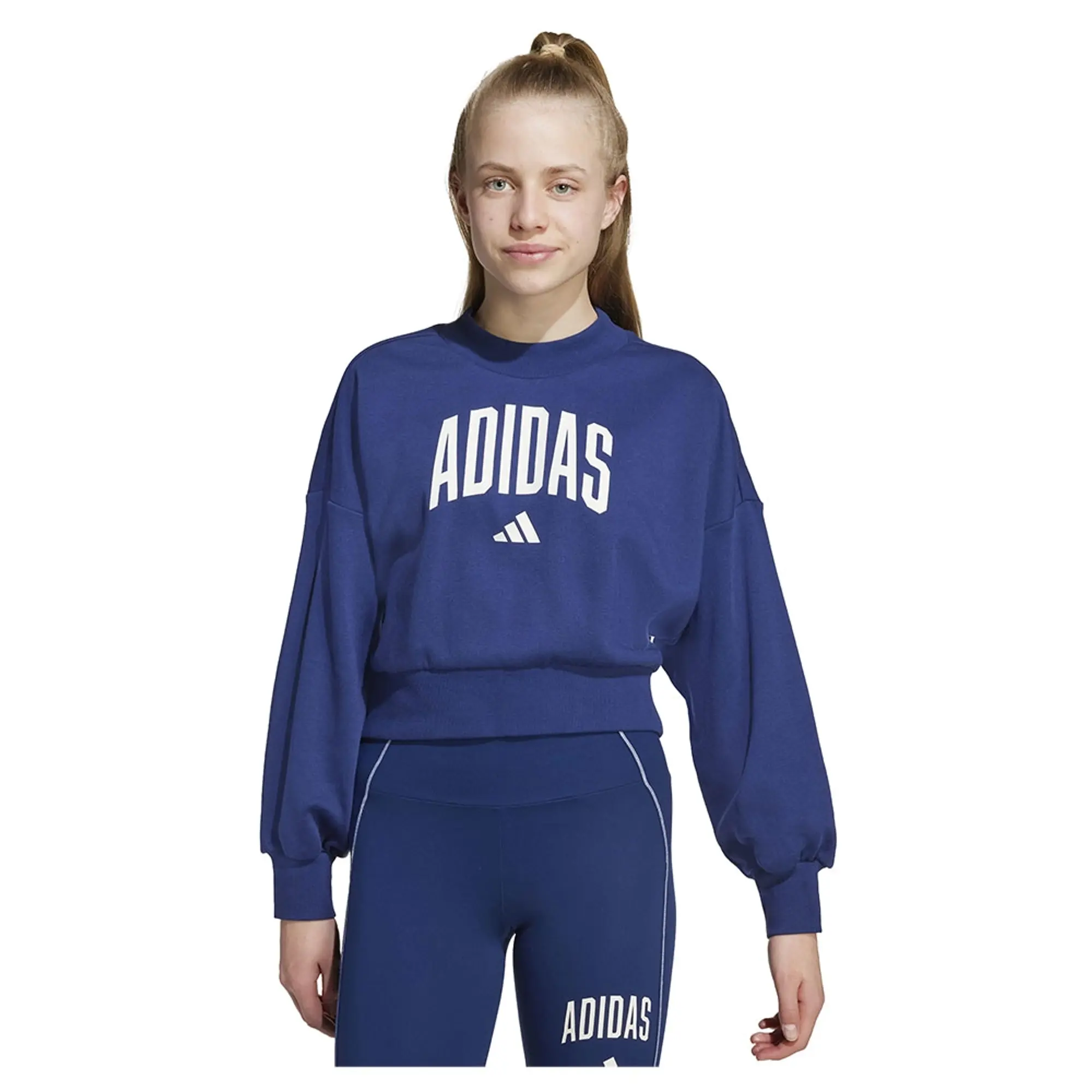 Adidas Seasonals Essentials Collegiate Typography Crewneck Sweatshirt