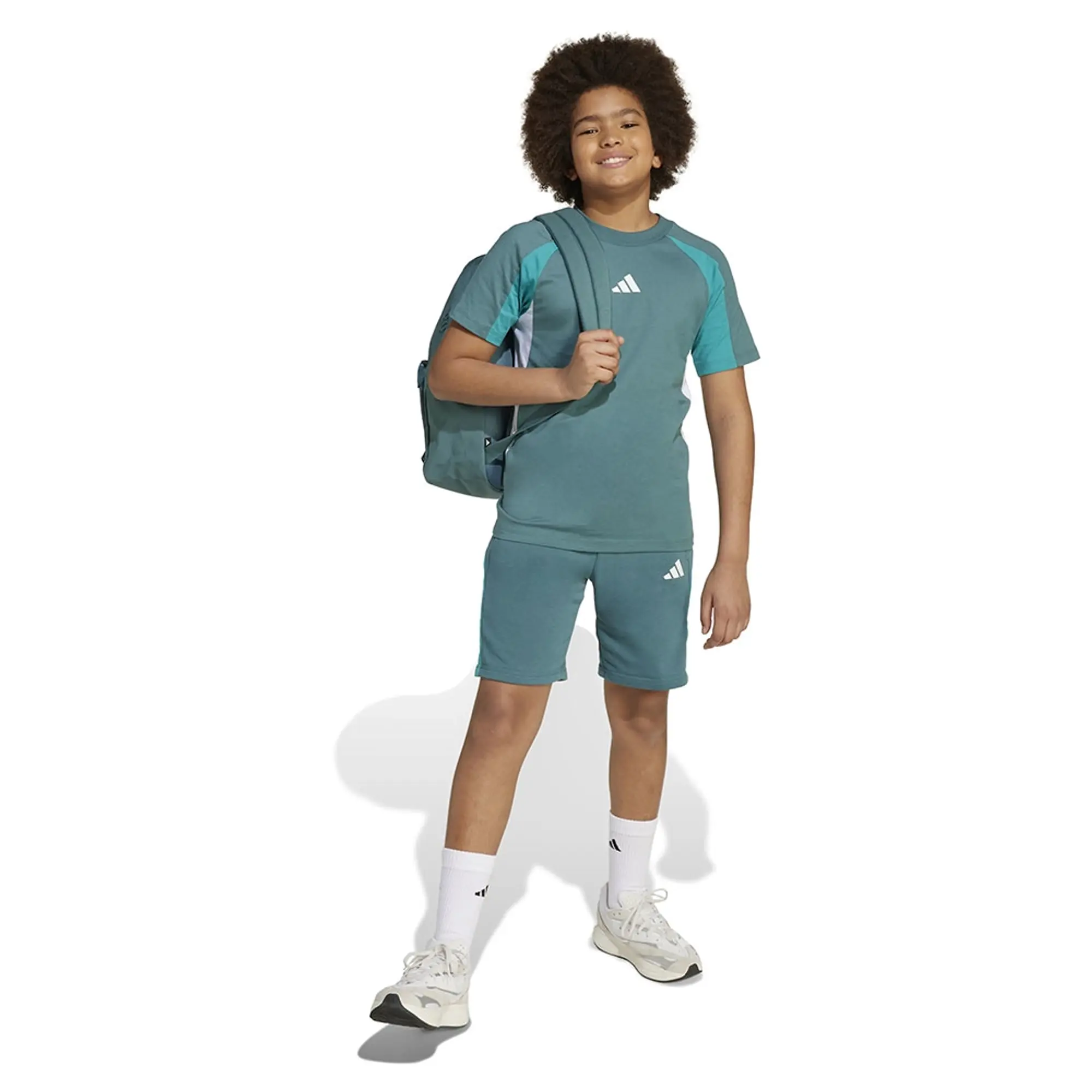 Adidas Seasonal Essentials Colorblock Shorts