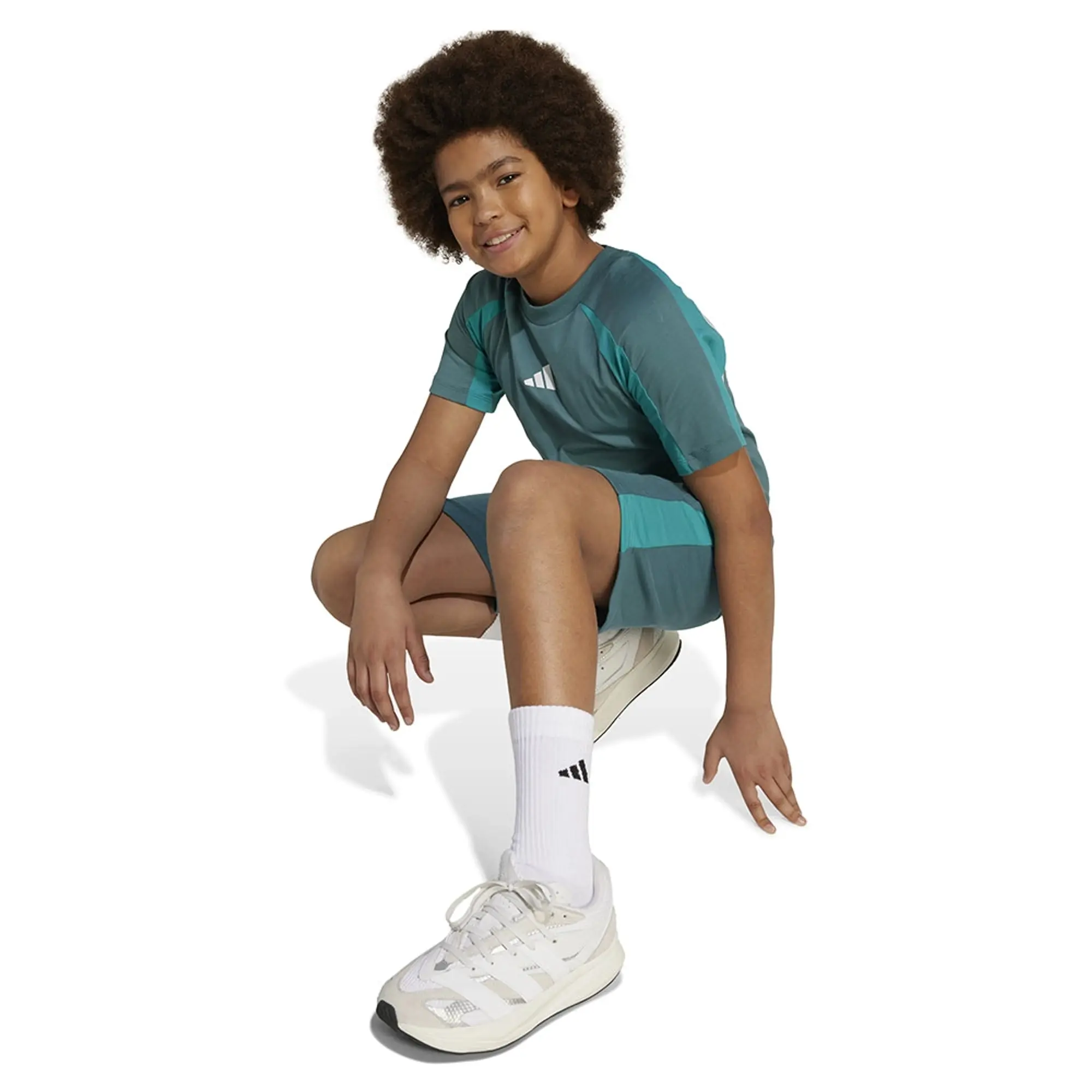 Adidas Seasonal Essentials Colorblock Shorts