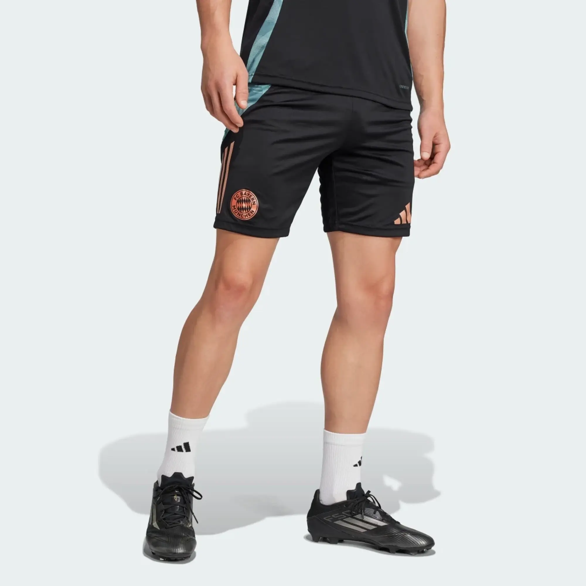 adidas FC Bayern Tiro 24 Training Shorts