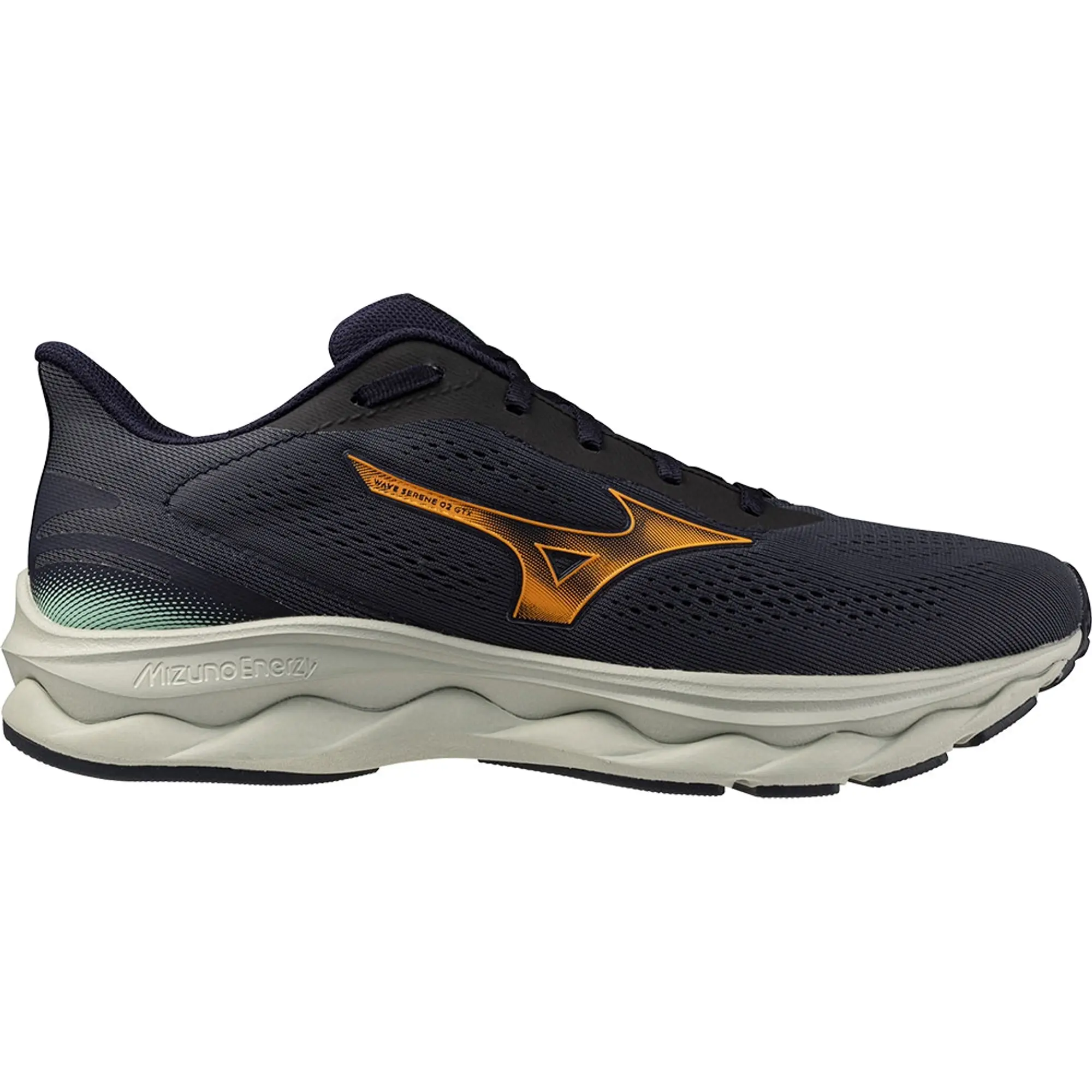 Mizuno Wave Serene 2 Gtx Running Shoes