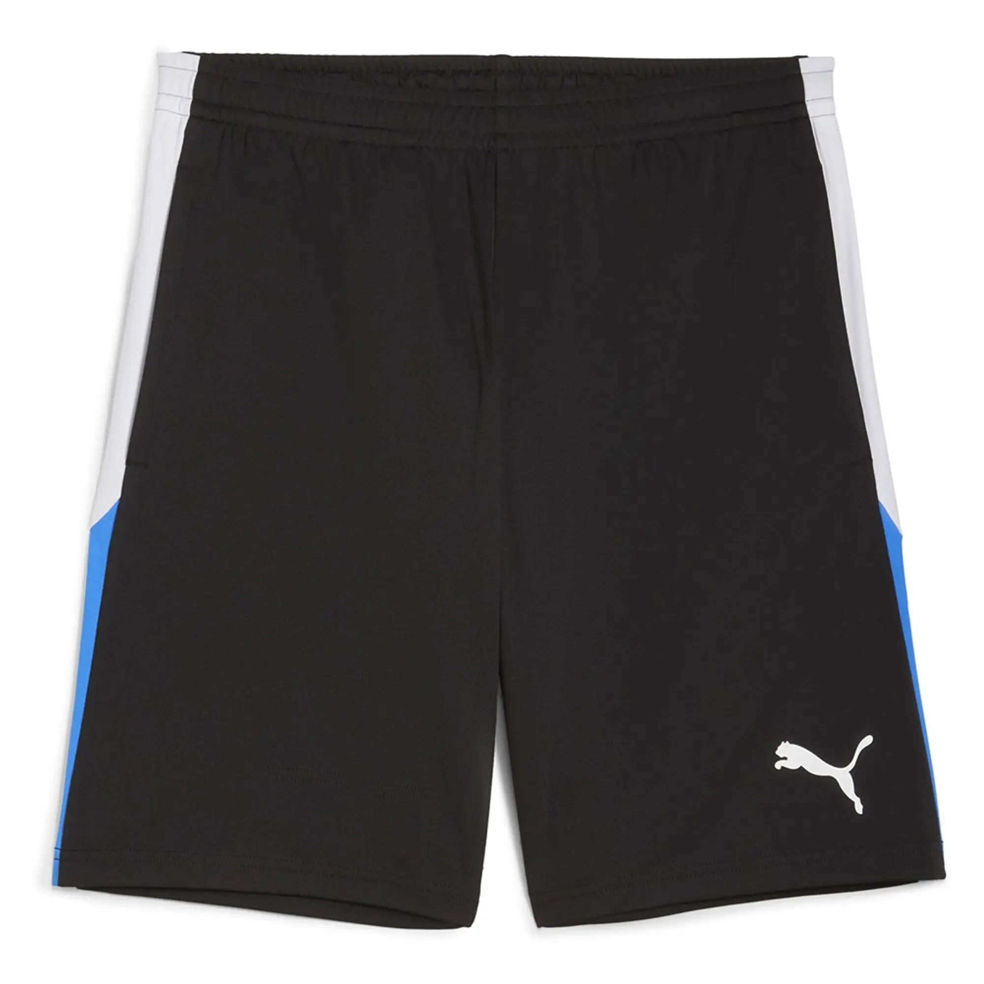 Puma Liga Shorts