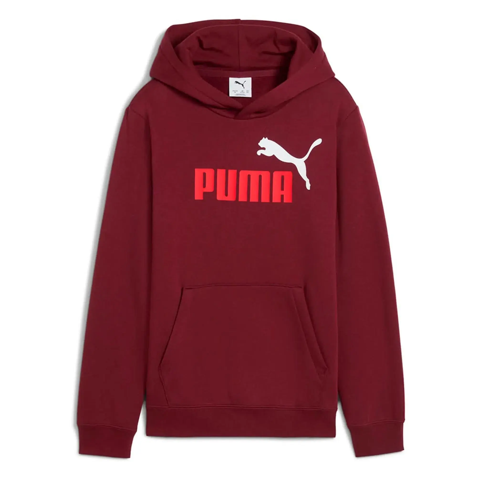 Puma Ess 2 Color Nº 1 Logo Hoodie