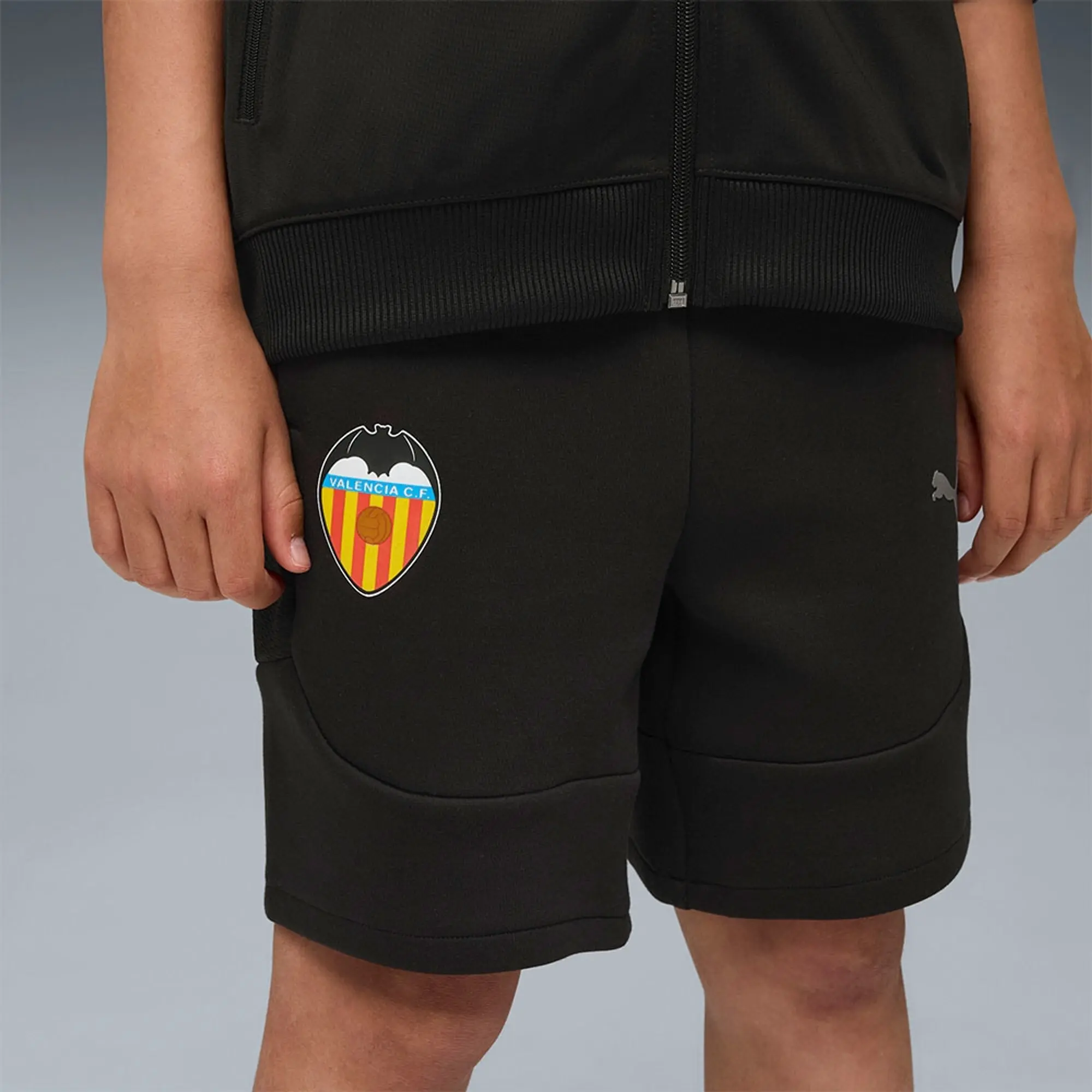 Puma Valencia Cf Evostripe Shorts