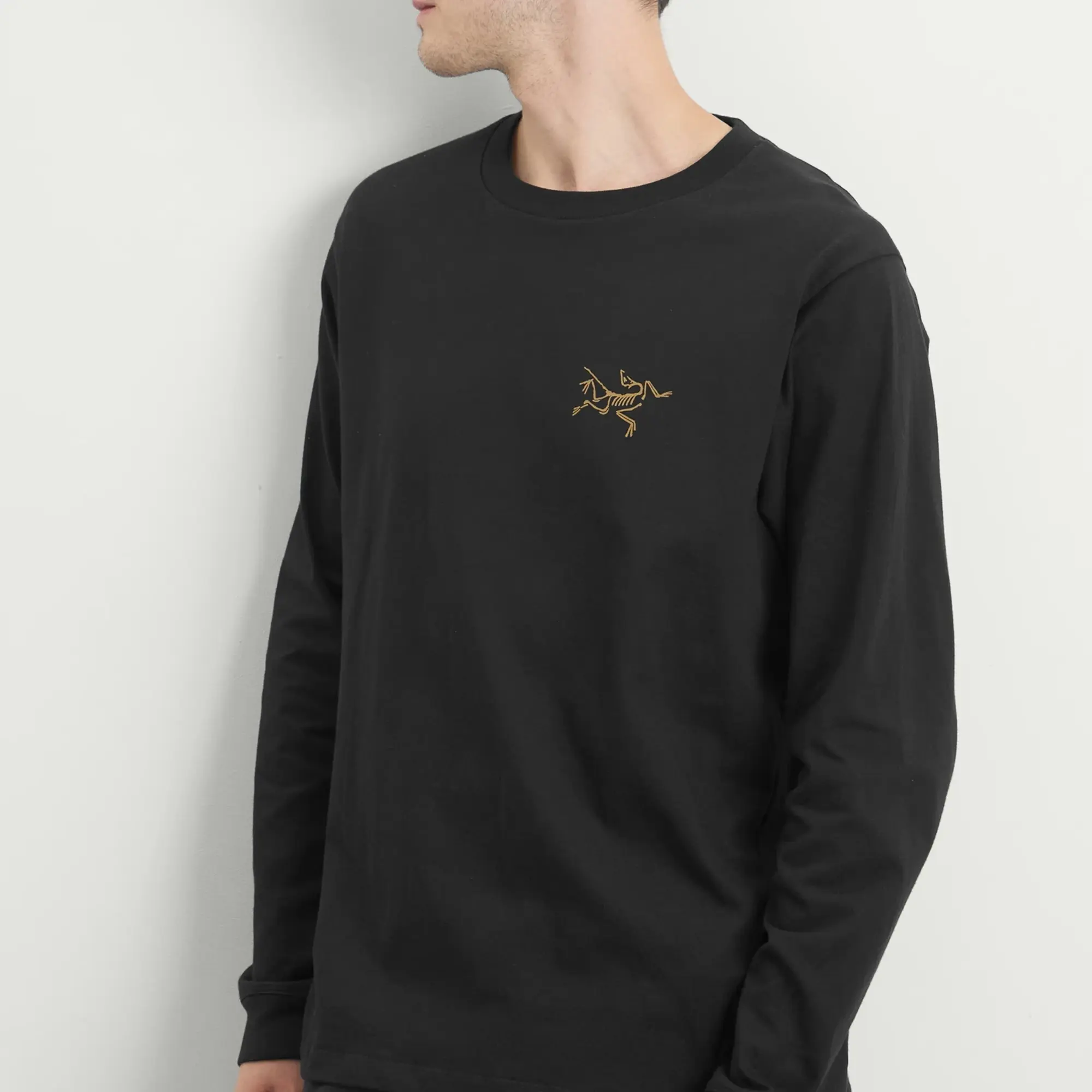 Arc'teryx Men's Kragg Cotton Long Sleeve T-shirt 24K Black