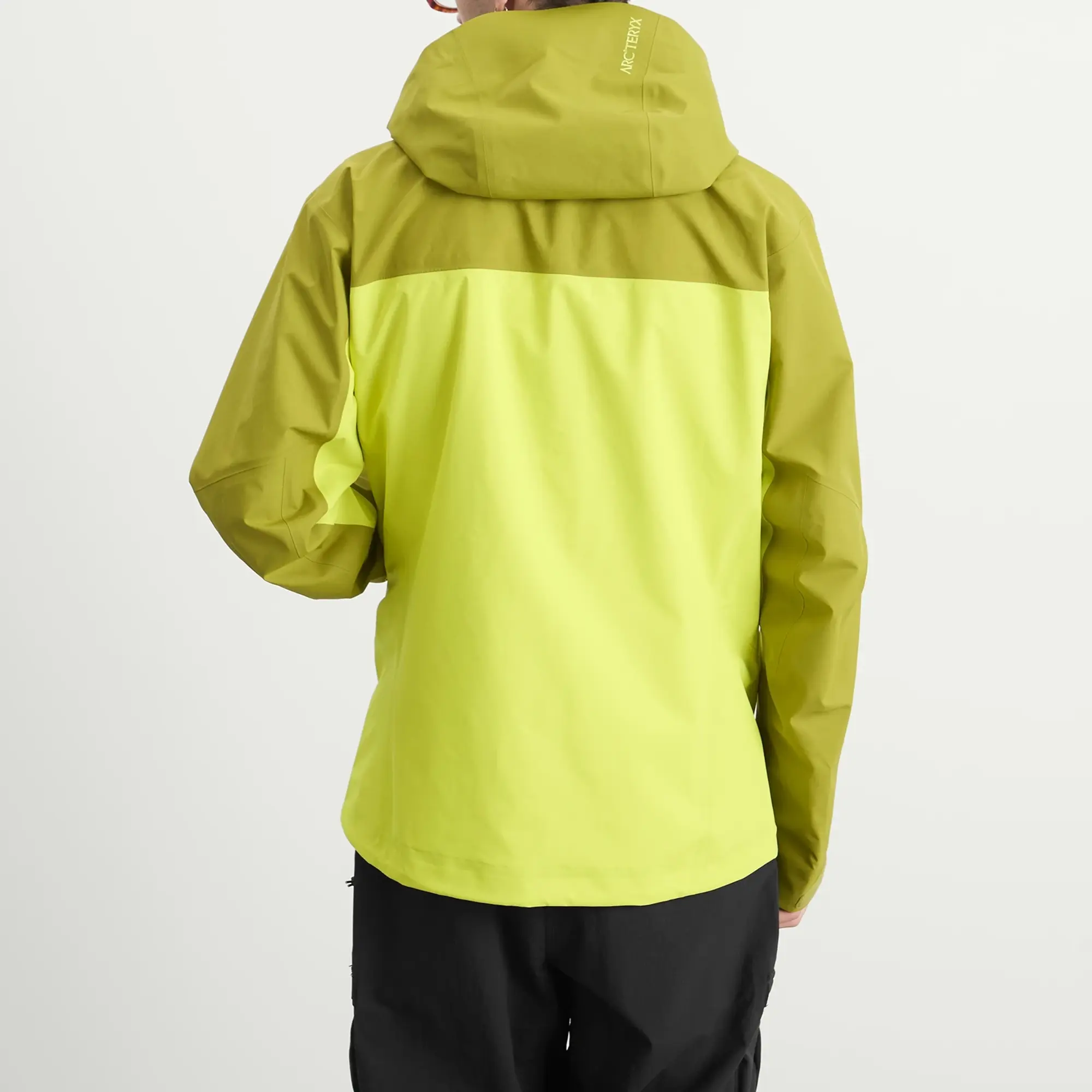 Arc'teryx Men's Beta AR Gore-Tex Jacket Olive Moss/Euphoria