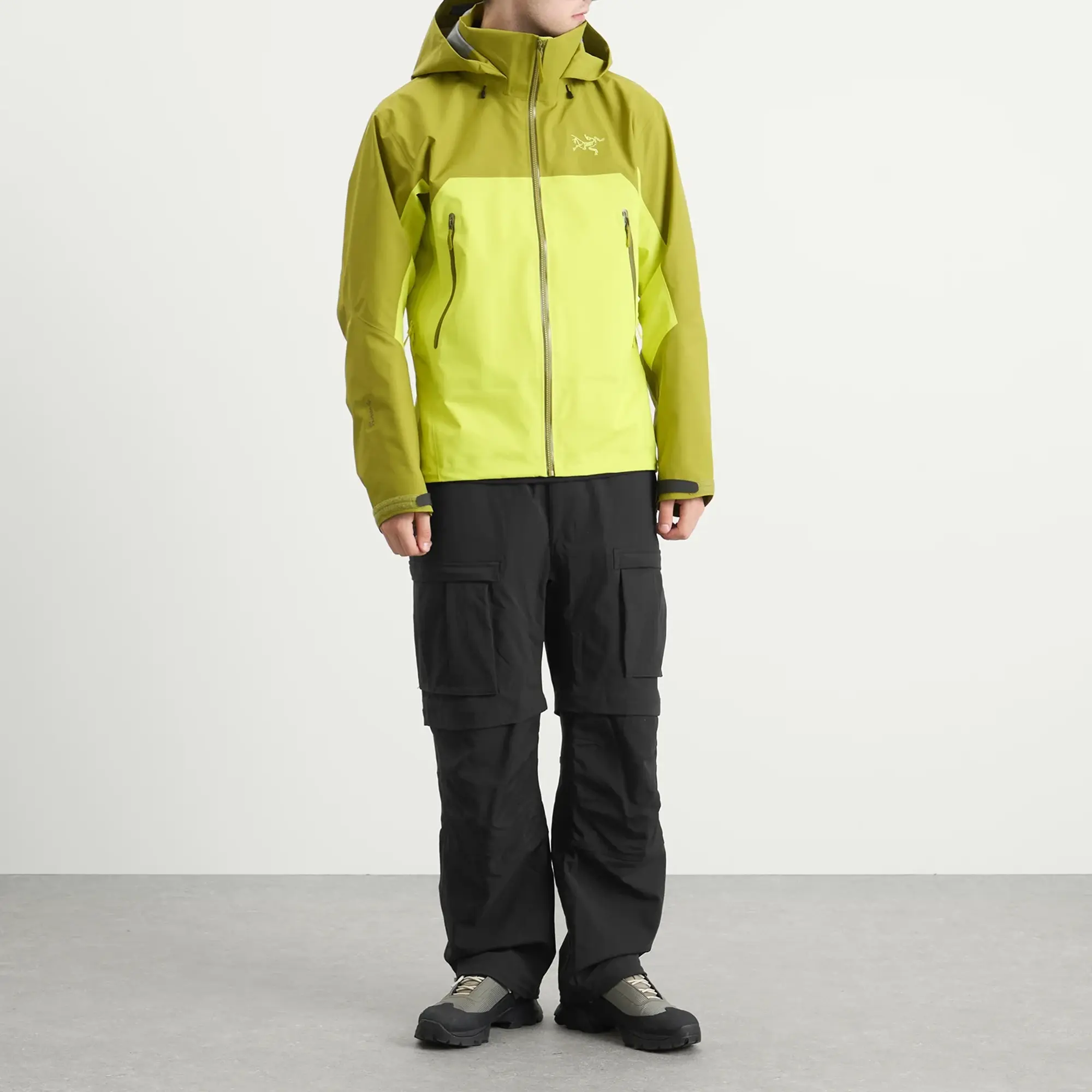 Arc'teryx Men's Beta AR Gore-Tex Jacket Olive Moss/Euphoria