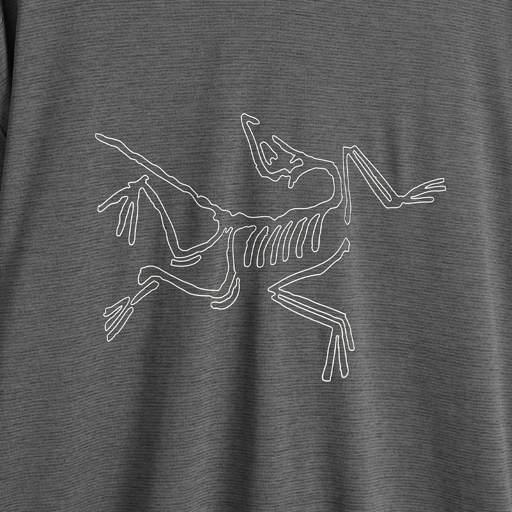 Arc'teryx Men's Cormac Logo Long Sleeve T-Shirt Black Heather/Solitude