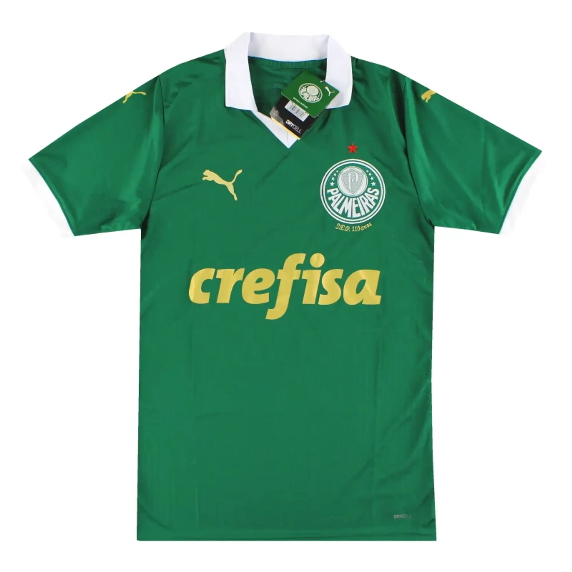 2024 Palmeiras Puma Home Shirt *w/tags* S - Central and South American Clubs / w/tags 